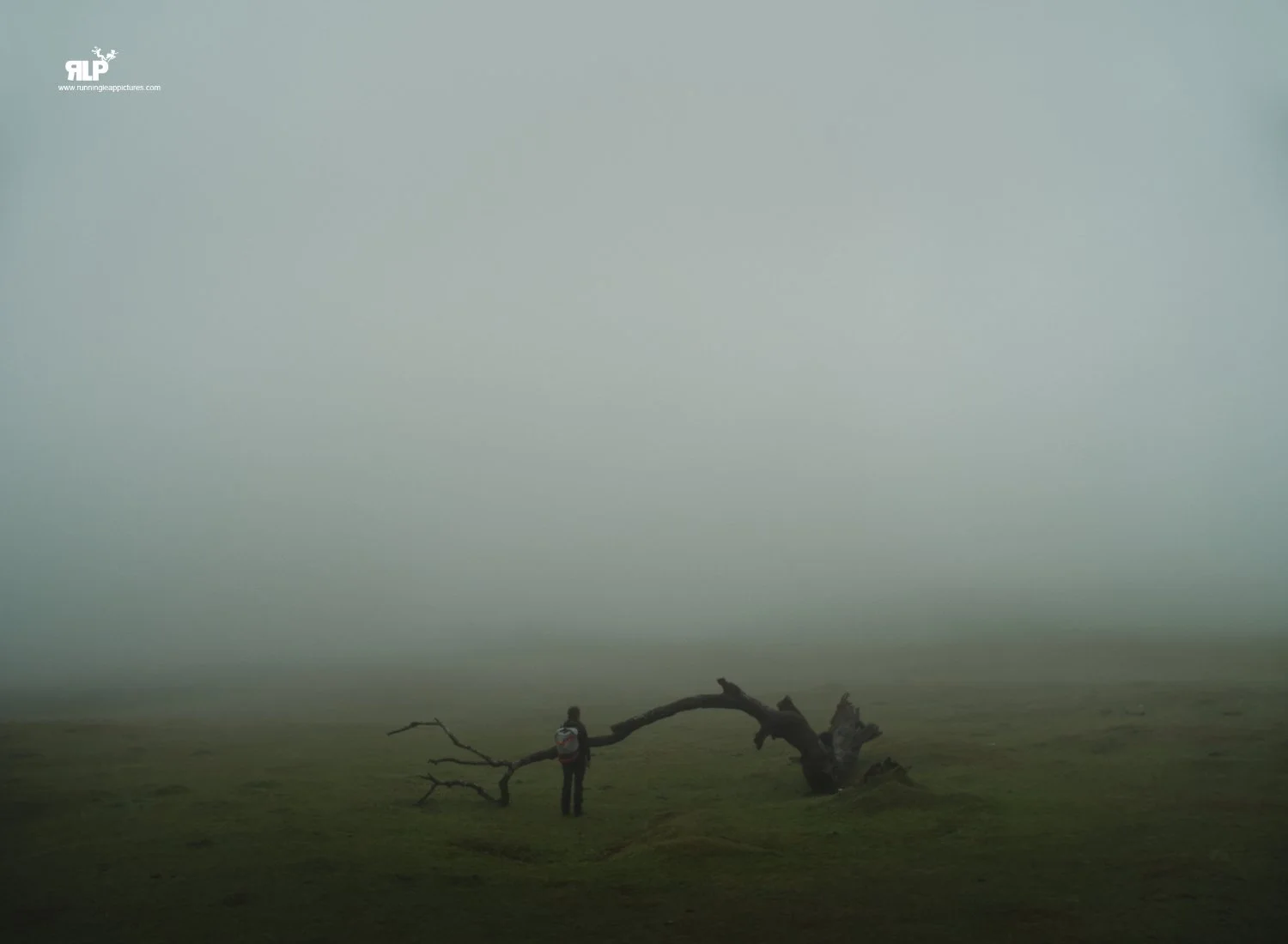 LISTENING TO THE FALLEN