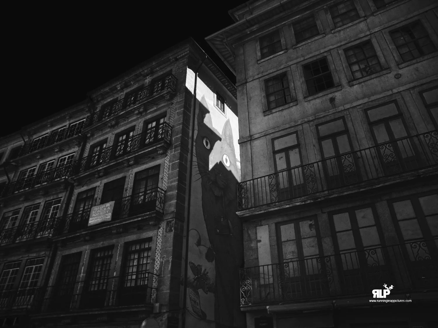 CAT ON BUILDING RLP B&W.jpg