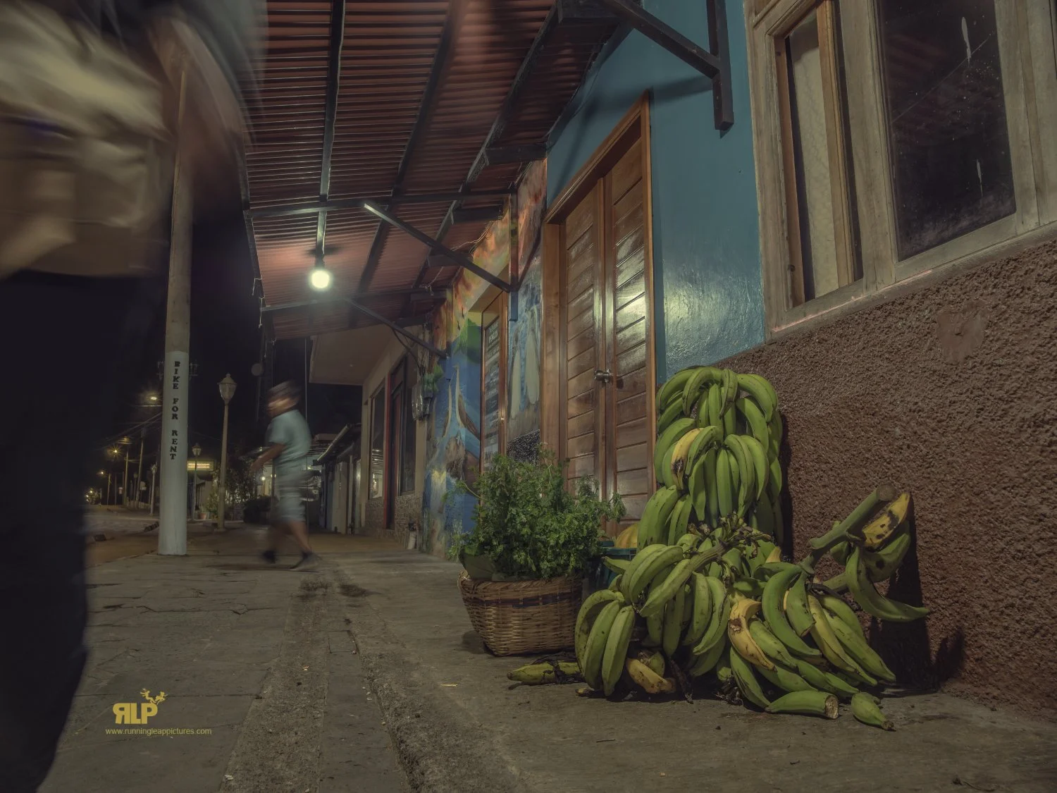 GALAPAGOS RLP 12.jpg