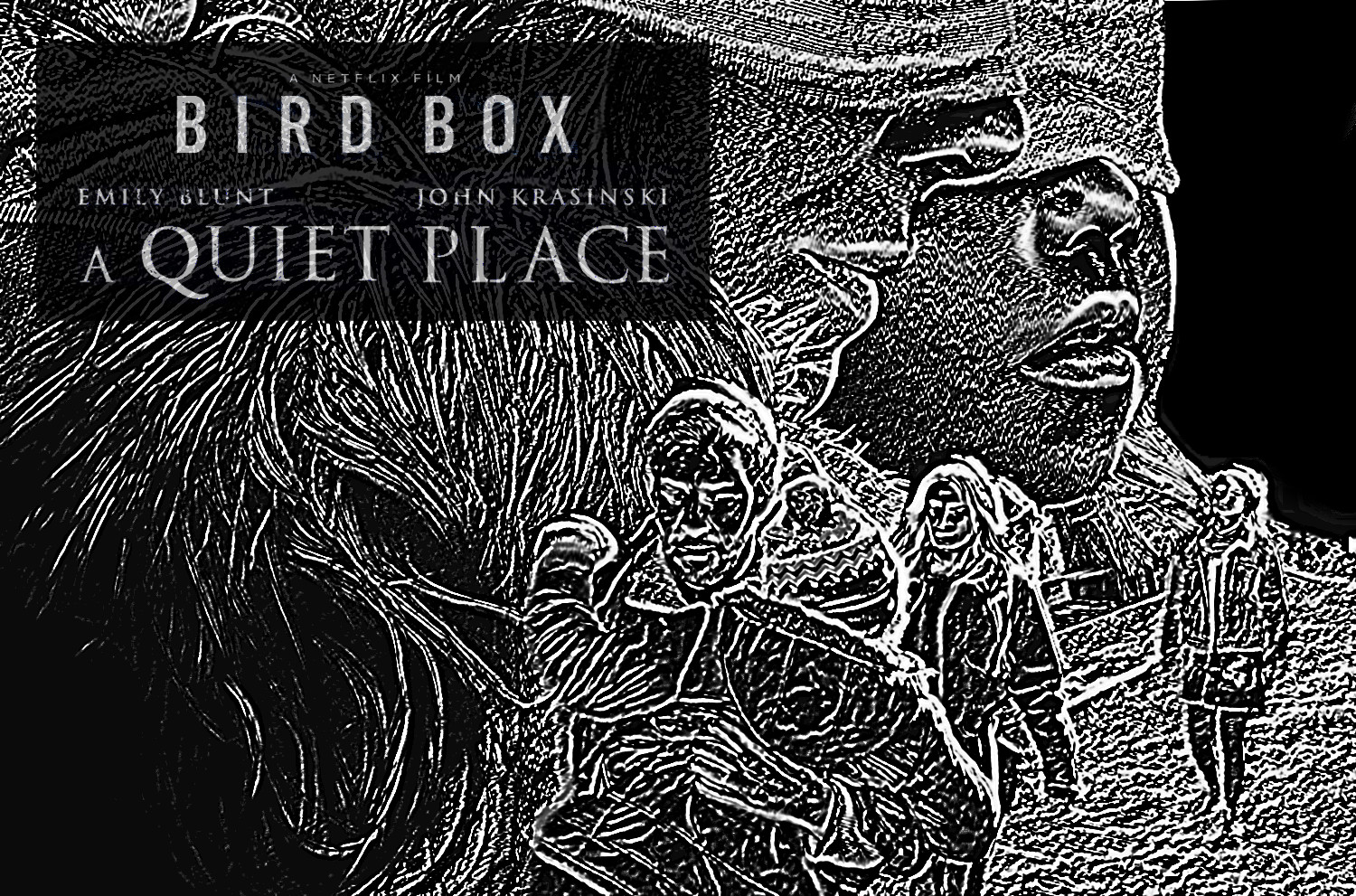 BirdBox-01.jpg
