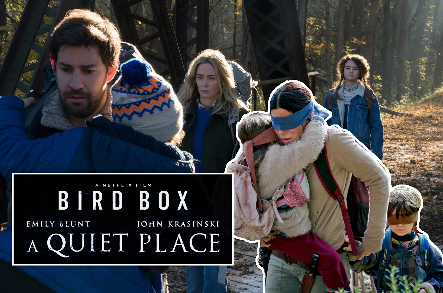 BirdBox-02.jpg