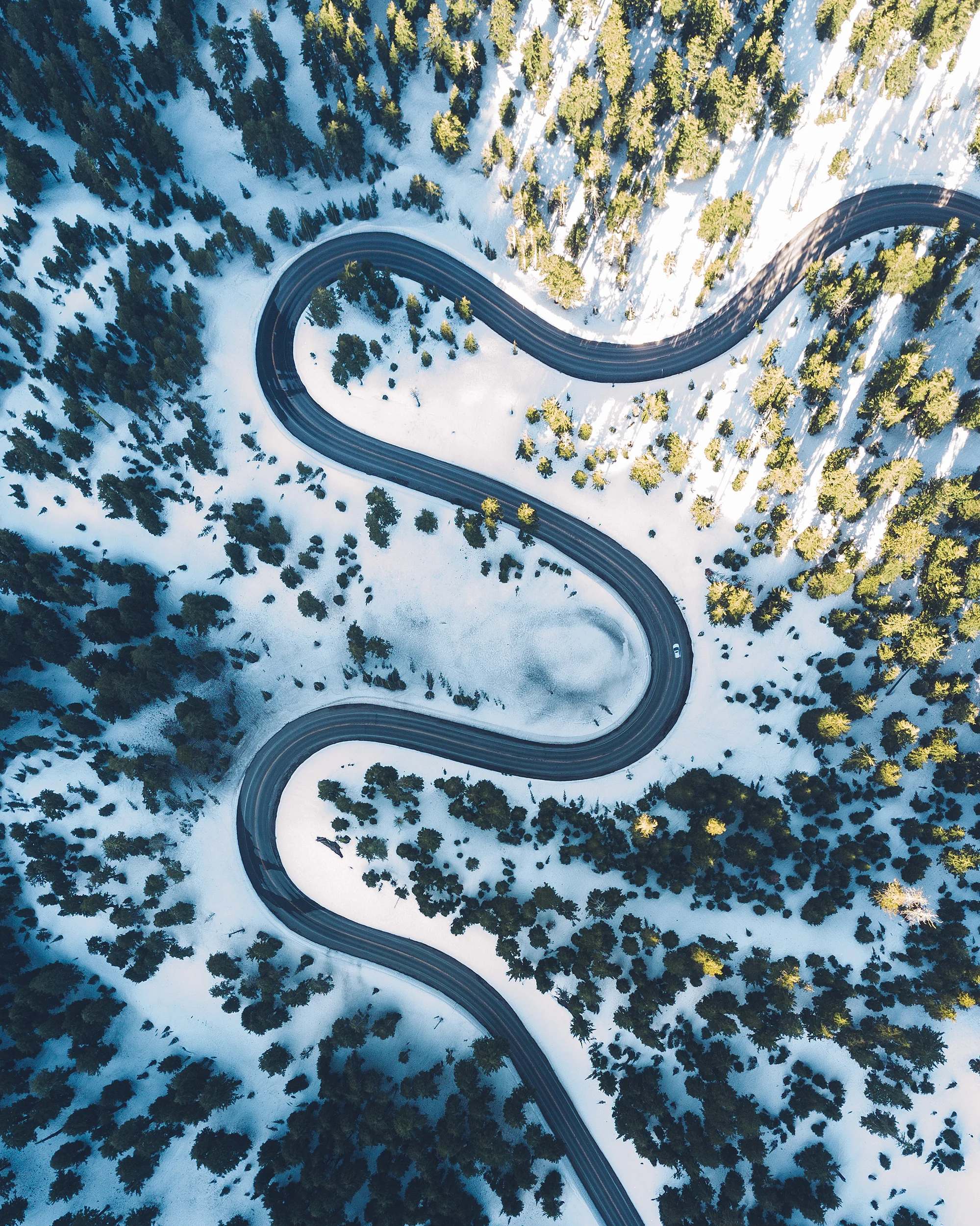 DJI_0162-1 copy 3.jpg