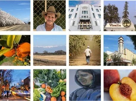 Architecture at Zero Competition