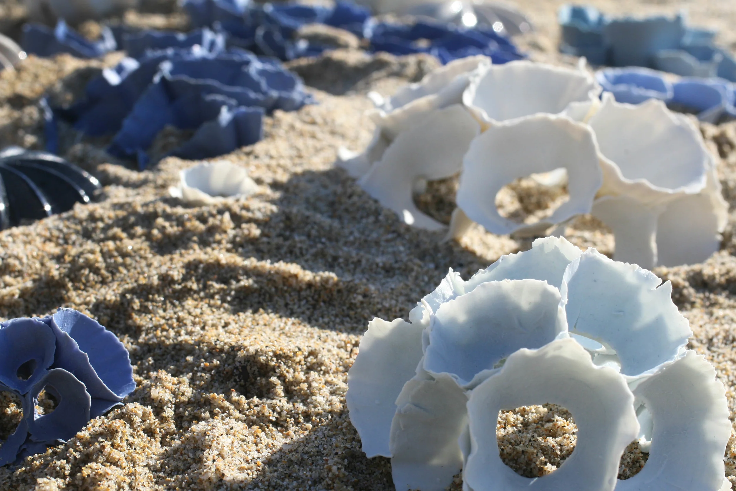 porcelain coral