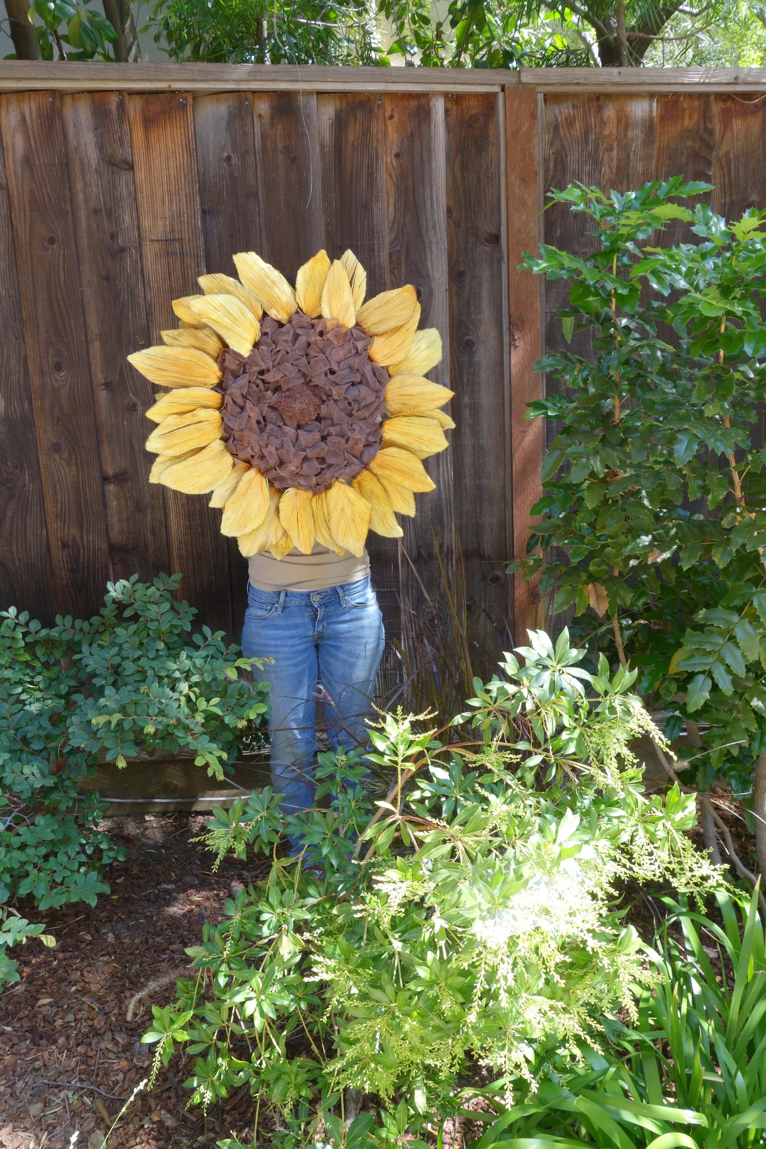 sunflower garden.jpg