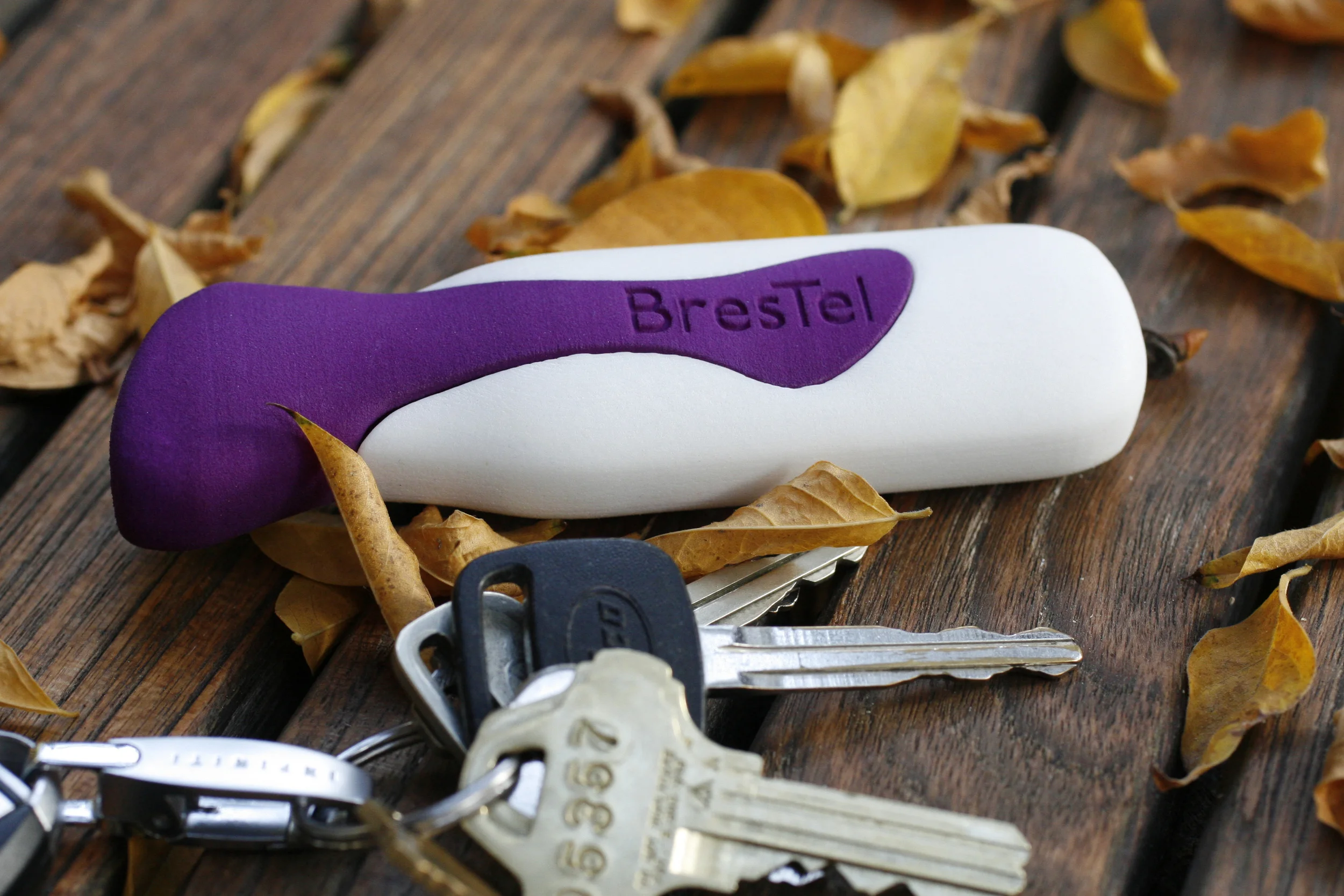 BresTel 1.jpg