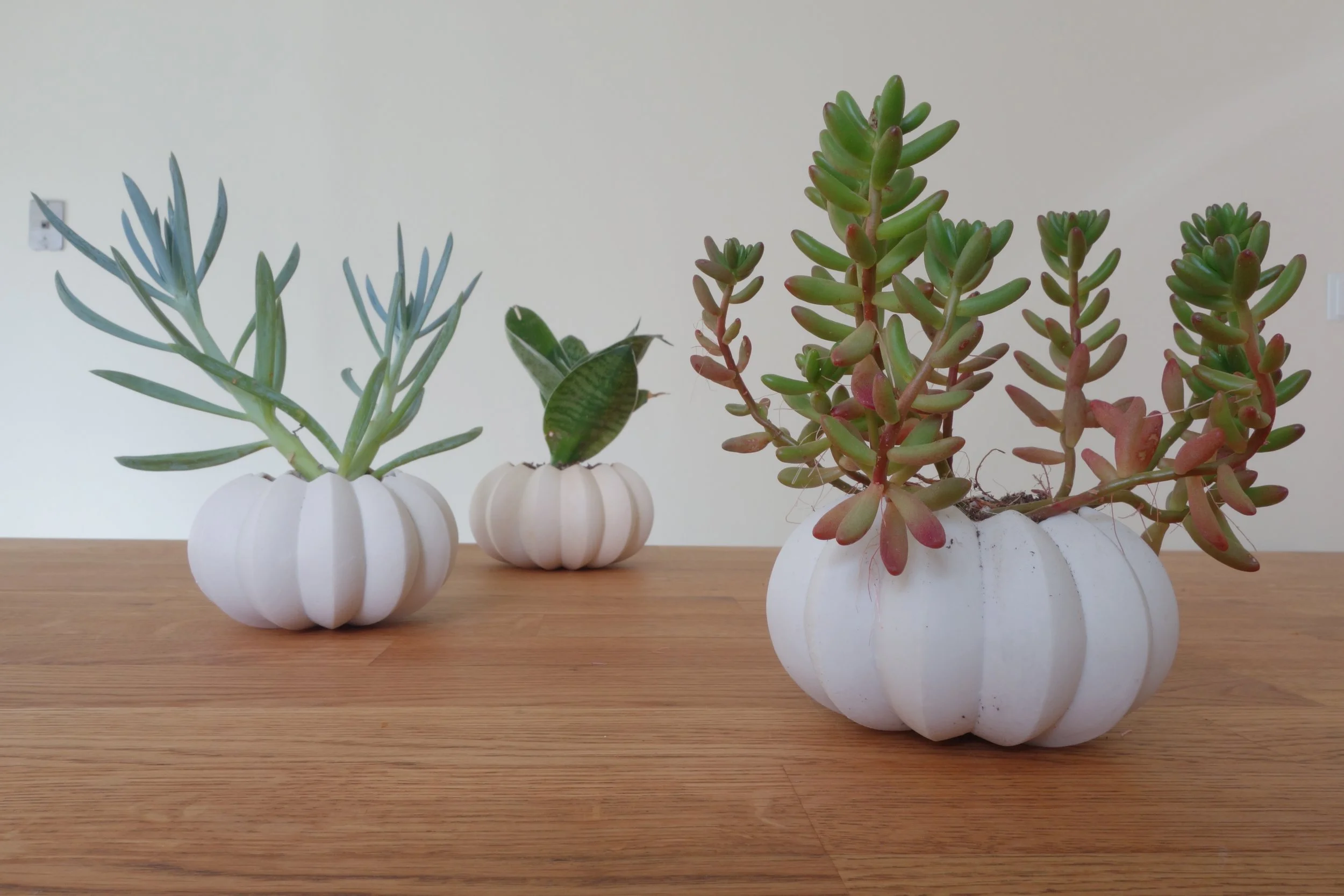 Urchin planter