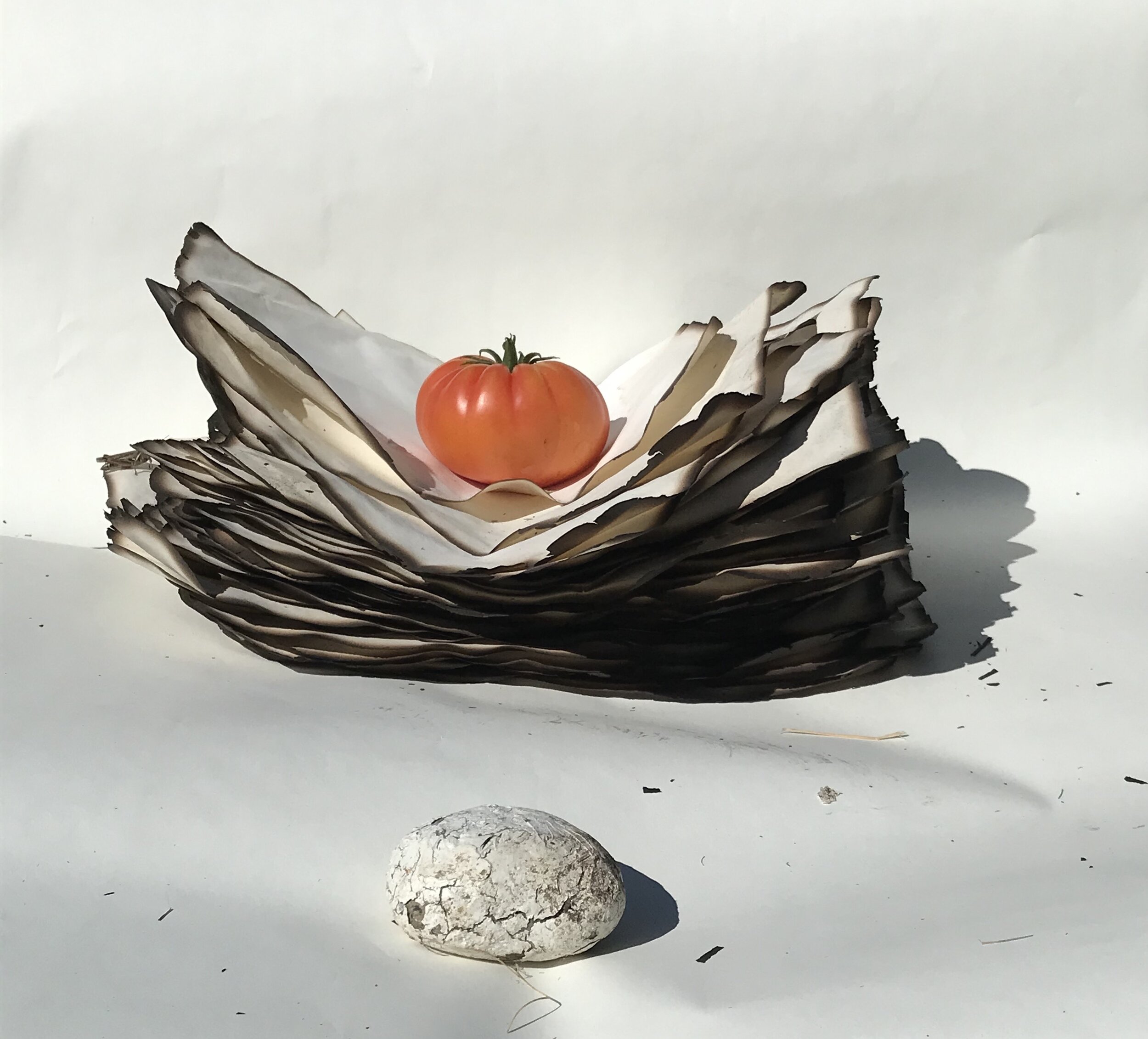 Burnt paper, tomato, rock