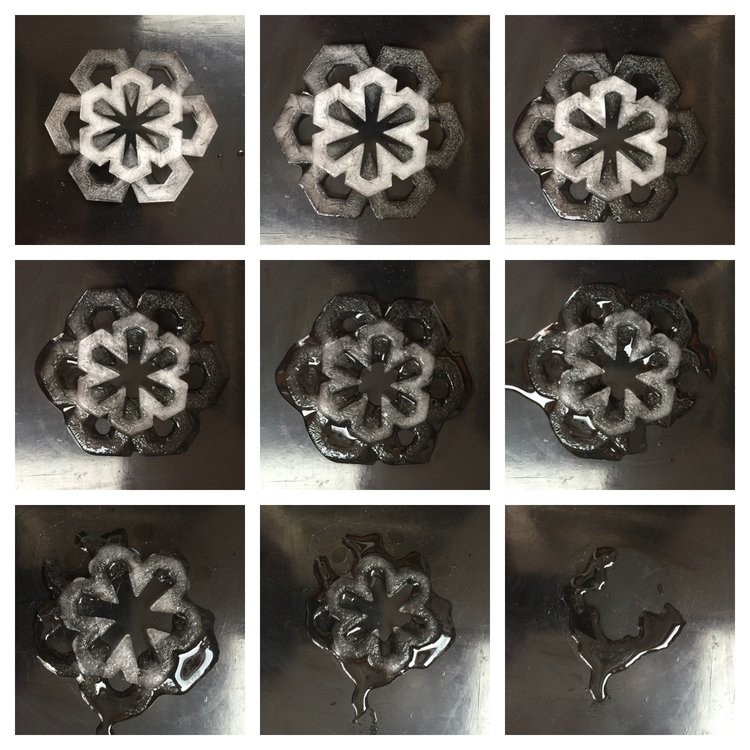 Snowflake Study | © Joshua Abarbanel 