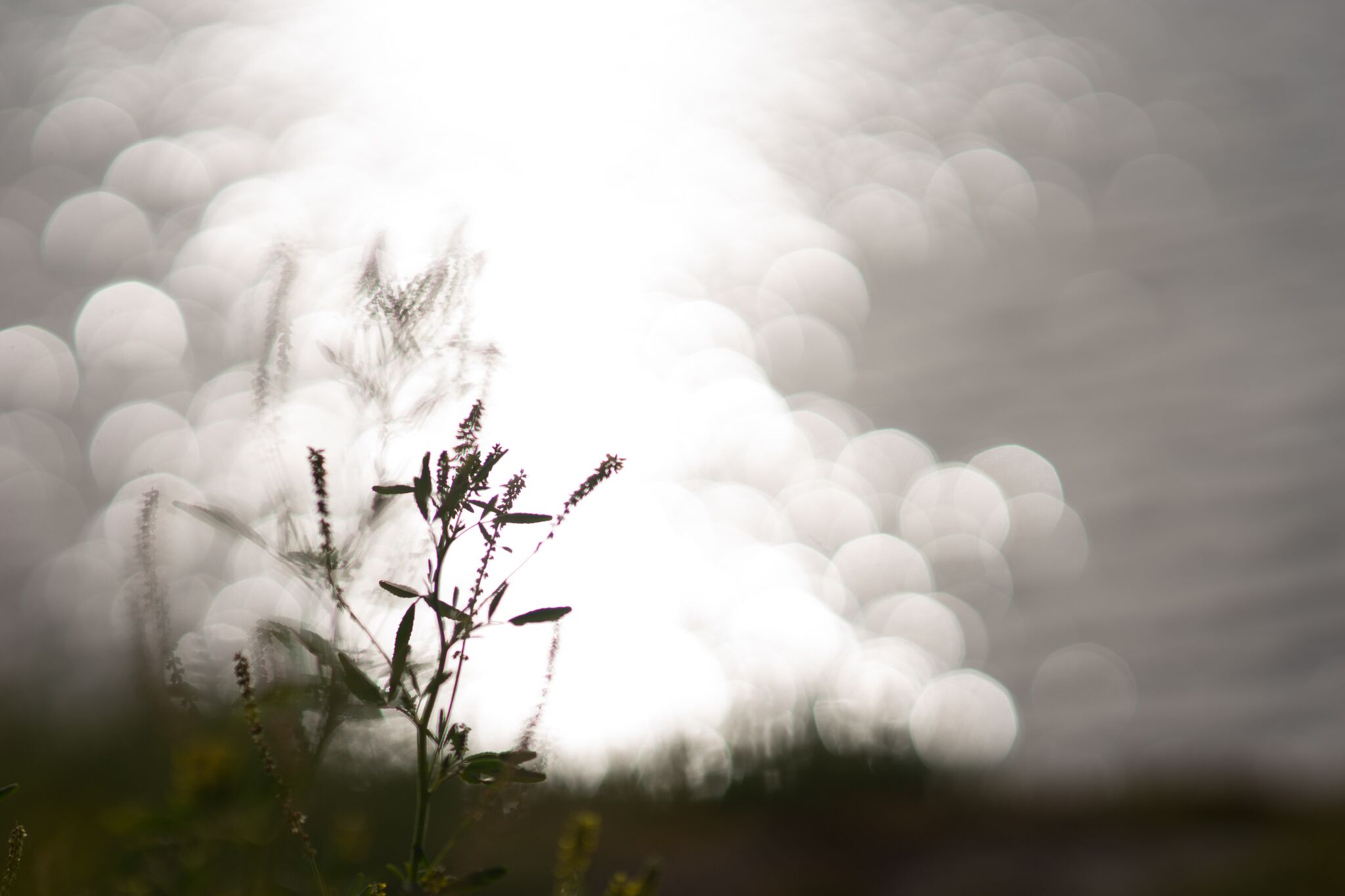 Untitled | © Vaughan Risher