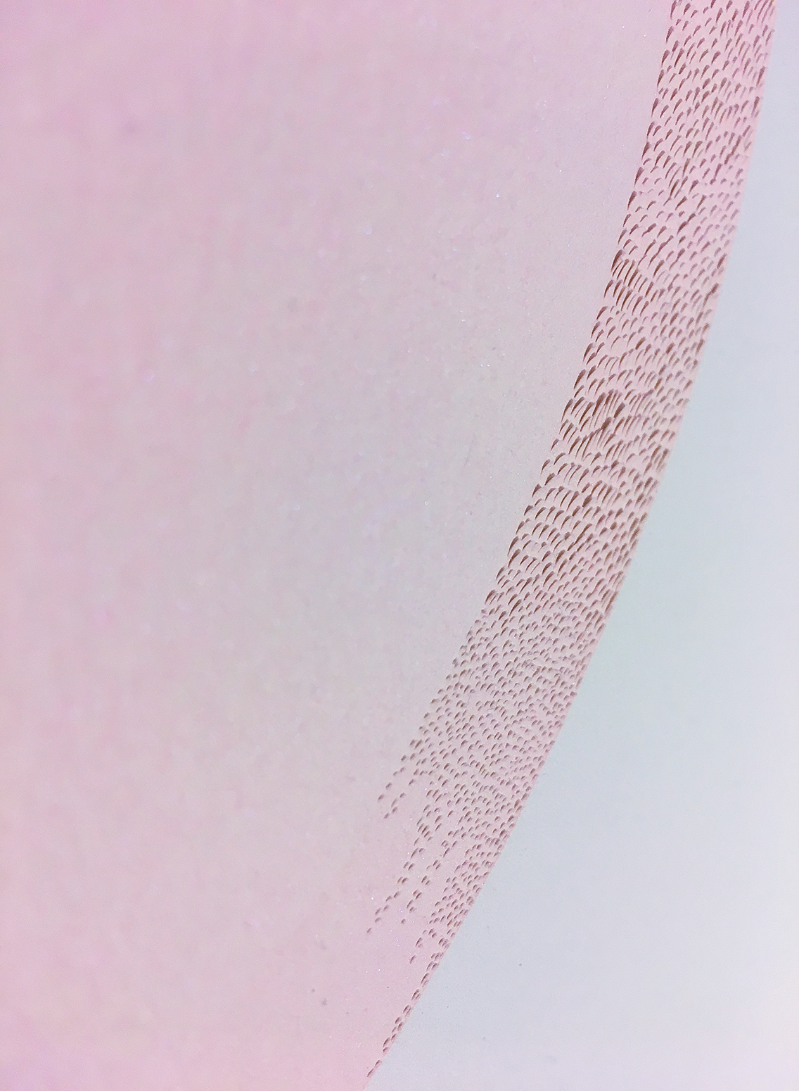 Knife Drawing (detail) © Lucha Rodriguez