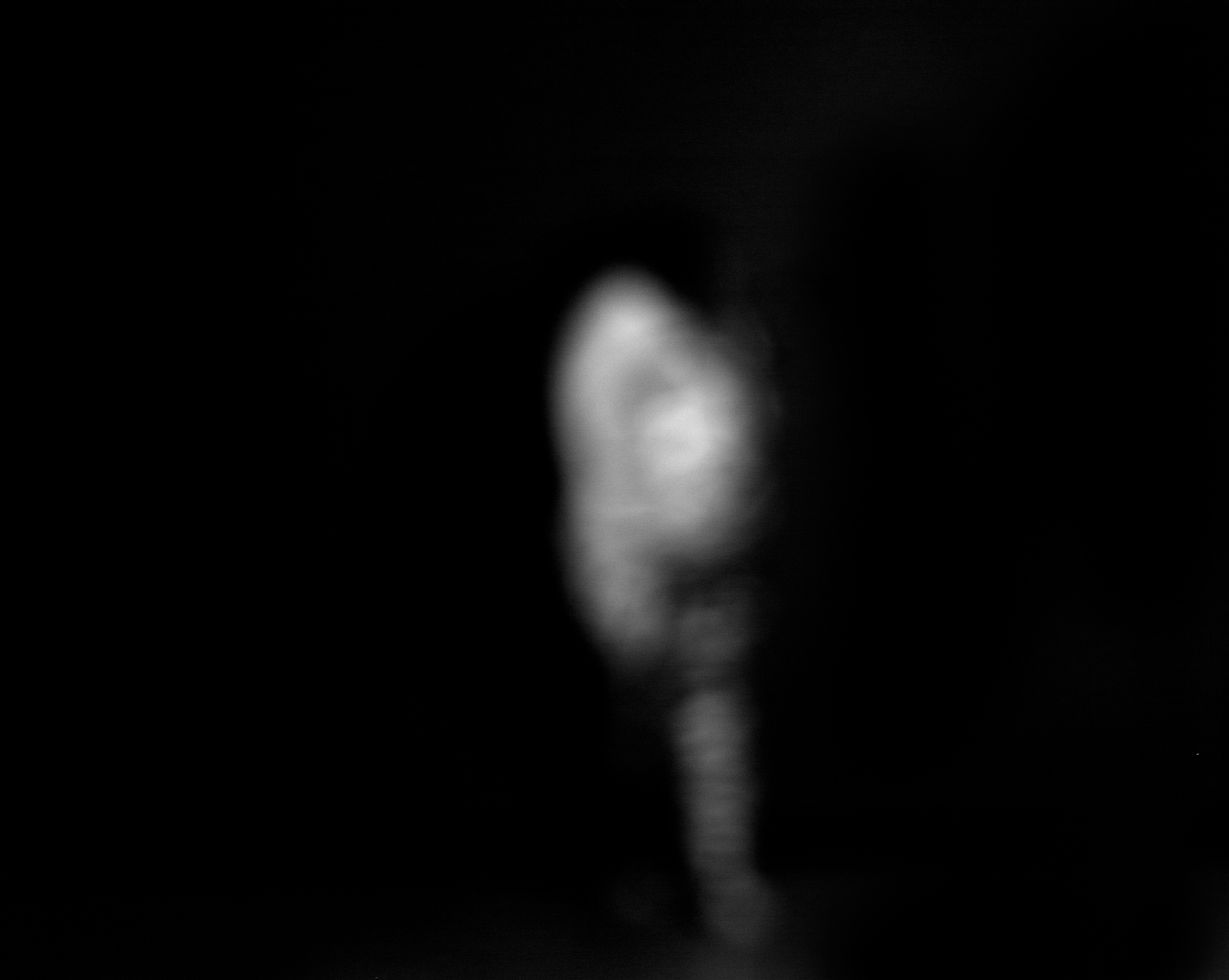 Emergence | © Jessica DeMuro