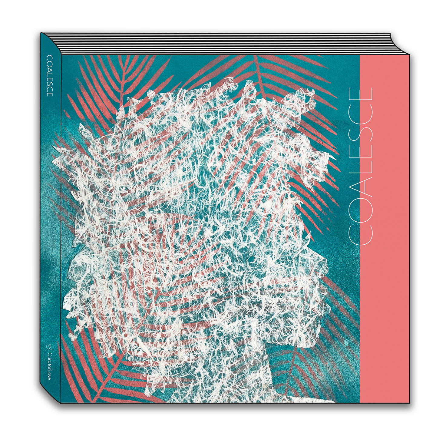 Book Vector S.png