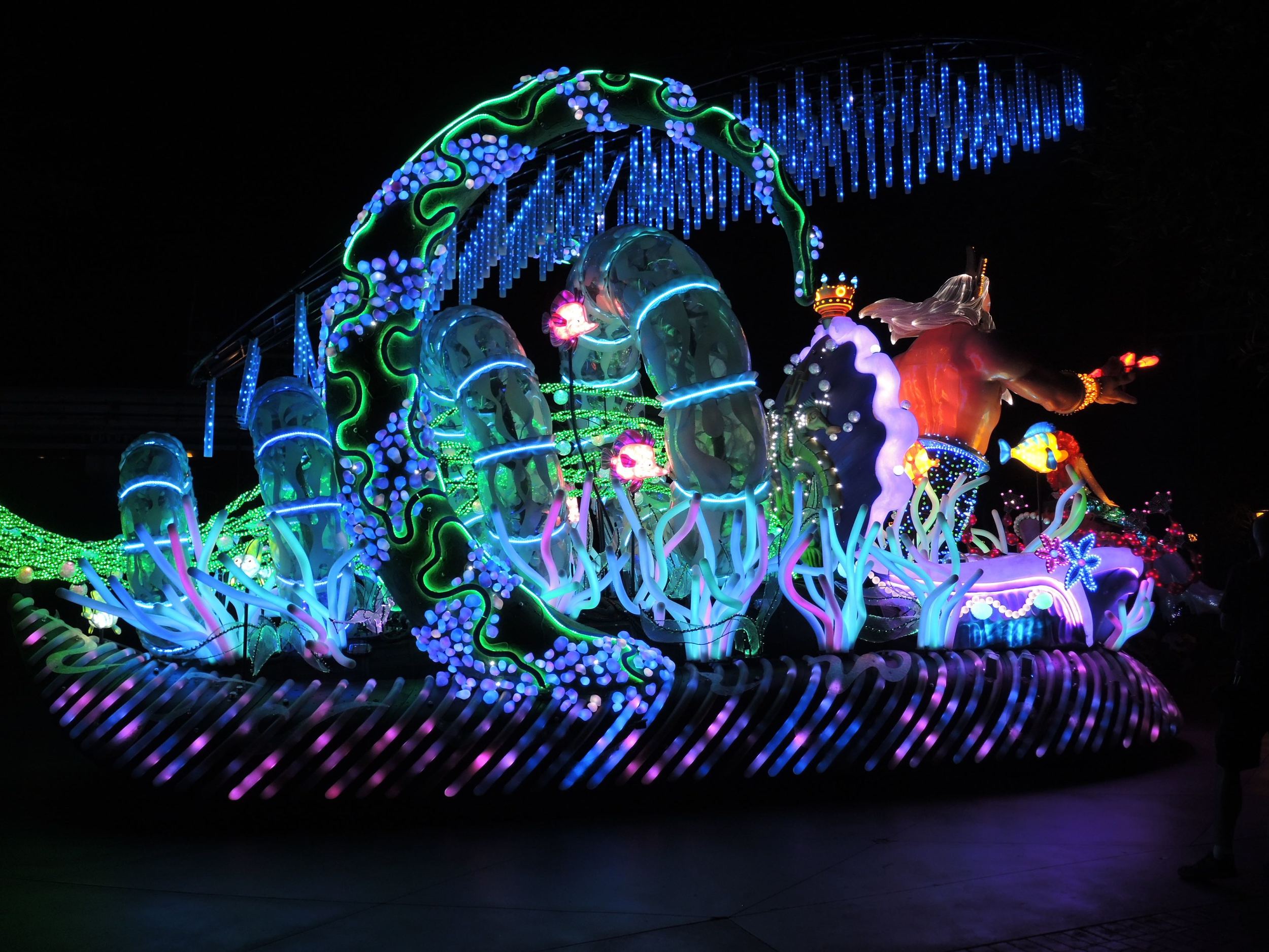 DSCN3271.jpg