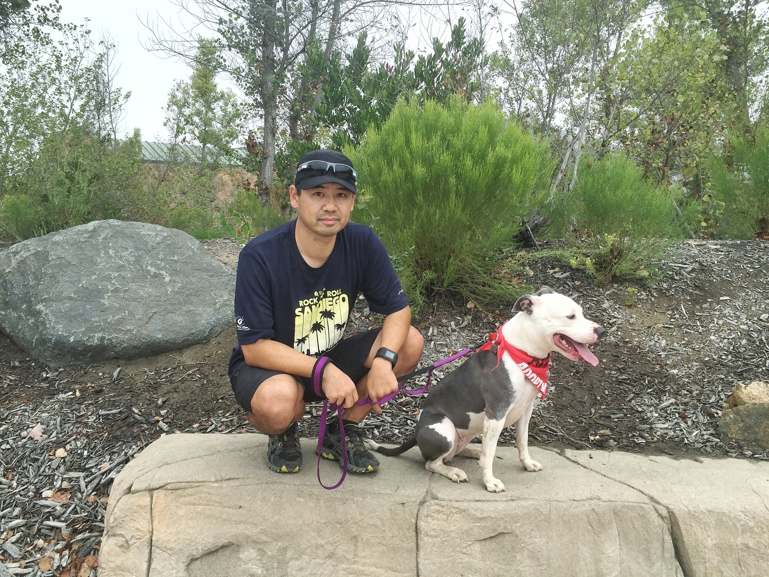 Meeting up with Rinny a few weeks after we returned her to the Barking Lot rescue shelter. 