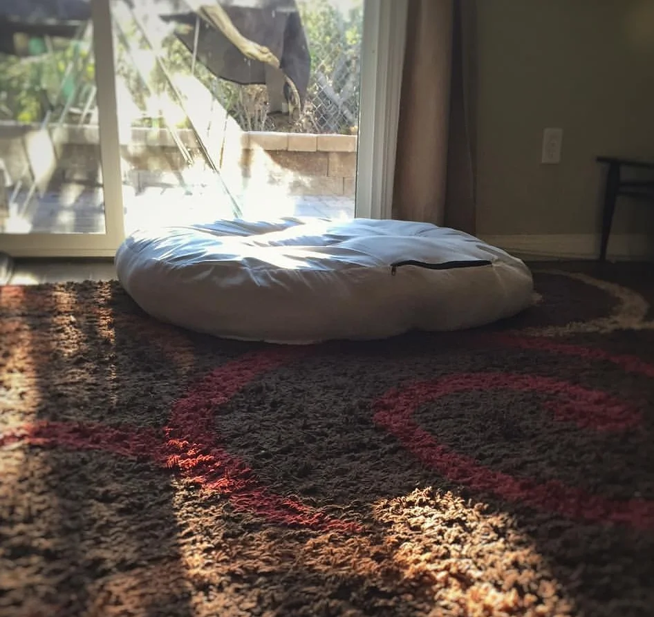 Rinny's bed sits in the same corner, just unoccupied, unless I lay on it (it's big and comfortable).