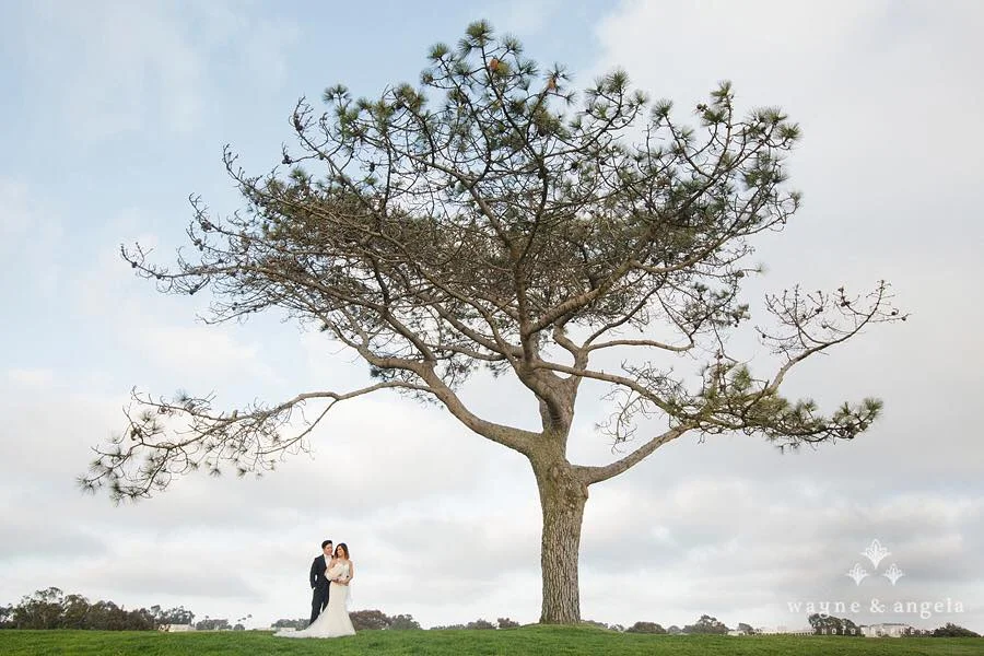 Kevin and Denise share a post ceremony moment under a tree at the Lodge at Torrey Pines.