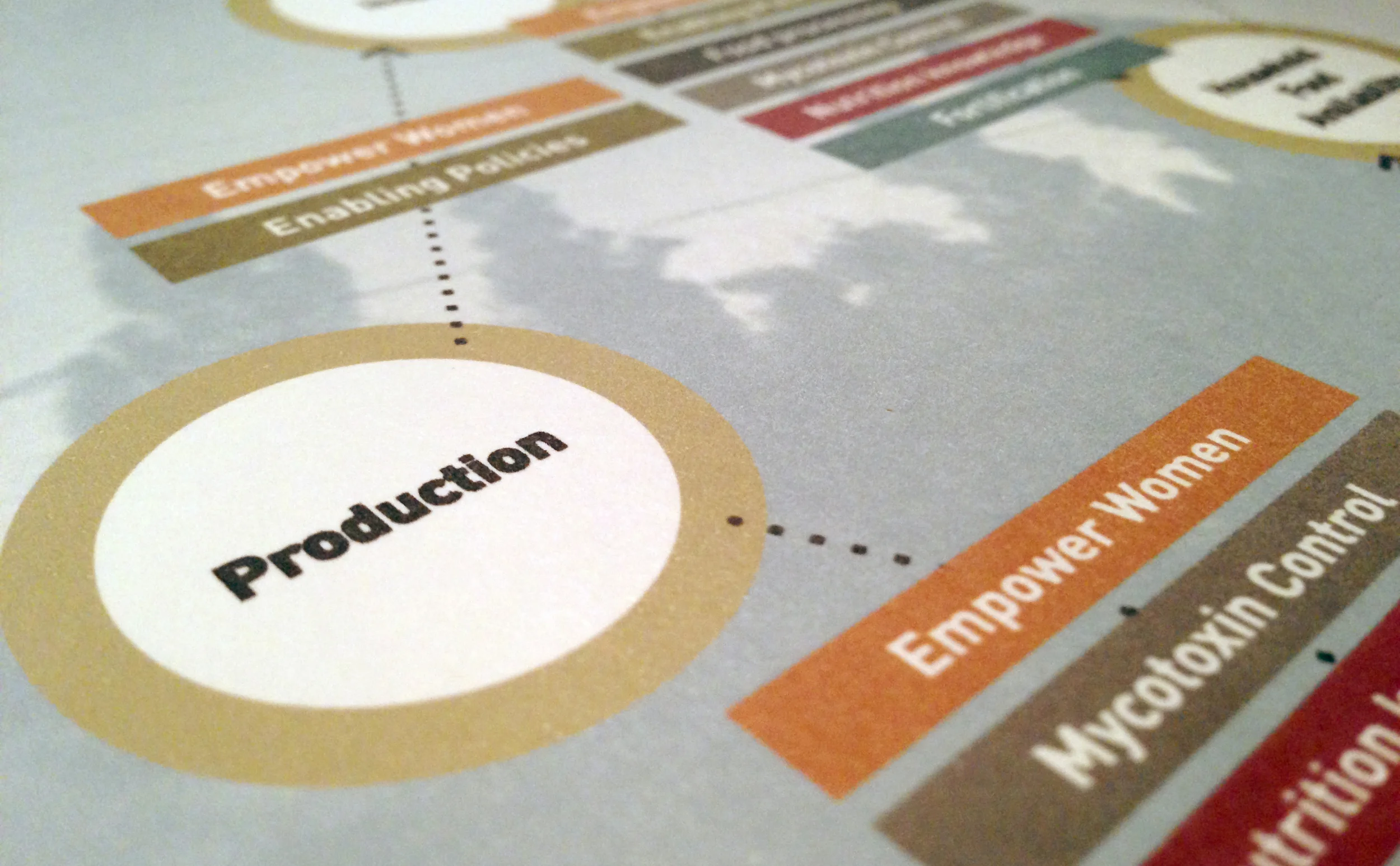 Conceptual Models + Organizing Frameworks