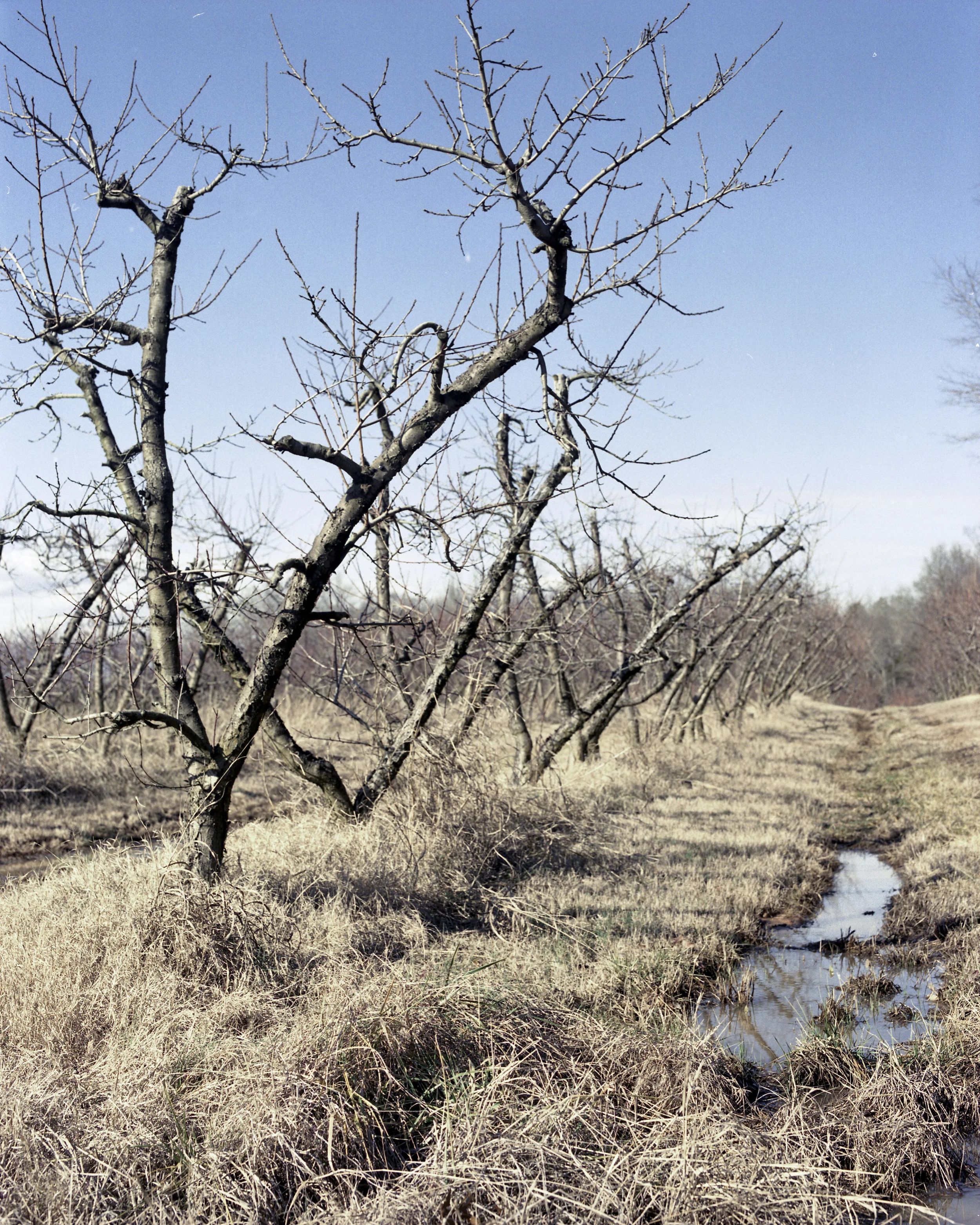 lydiasee_091514-fortmill3-2014-color120mm-batch120