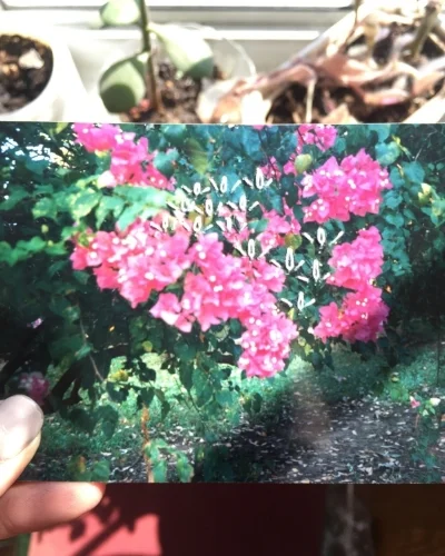 stitchingtheotherpictures2.jpeg