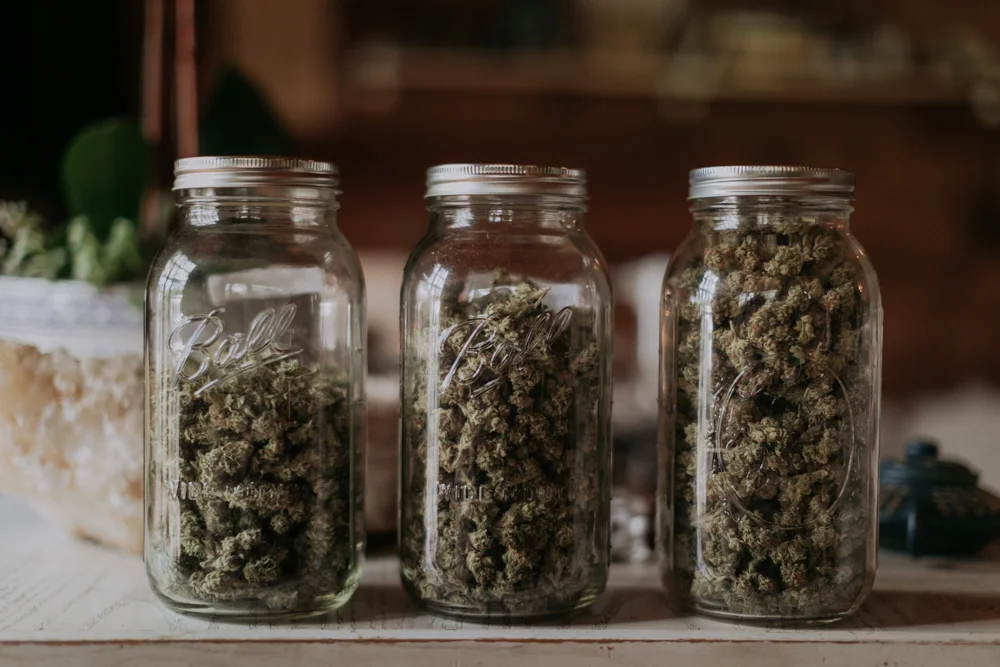 JENNIFER SKOG cannabis lifestyle photographer