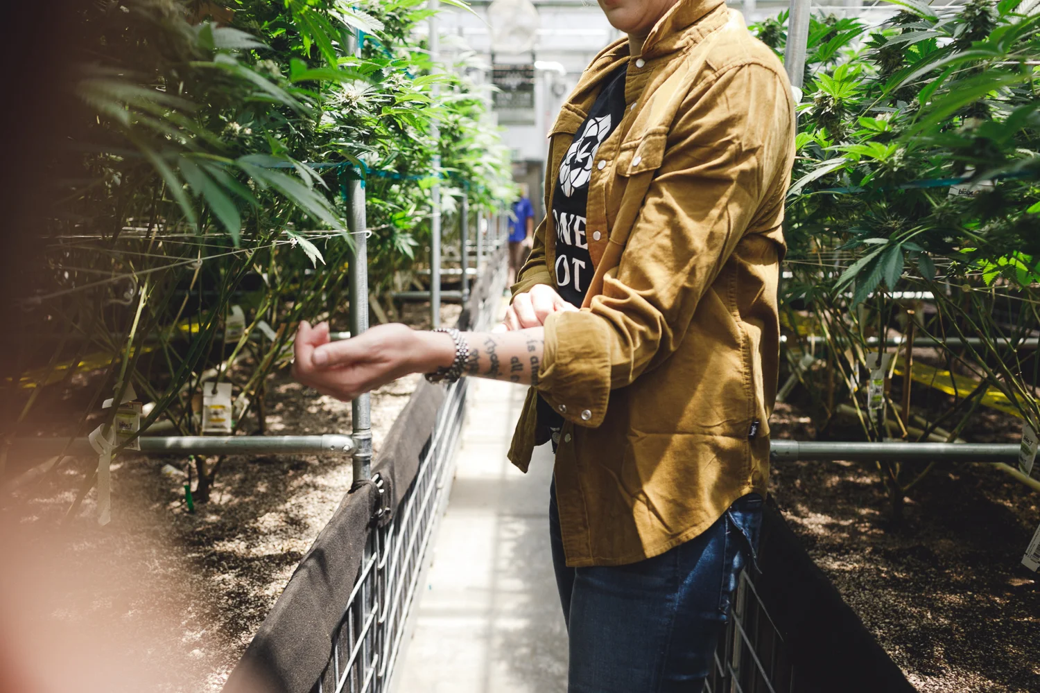JENNIFER SKOG cannabis lifestyle photographer