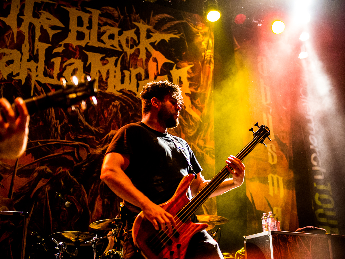 4_The_Black_Dahlia_Murder_Rickshaw_Timothy-Nguyen_13October15-4.JPG