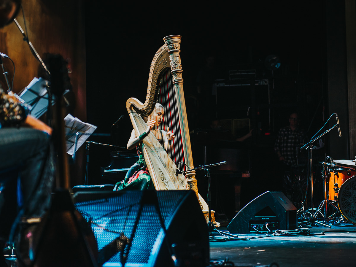 2_Joanna_Newsom_Vogue_Theatre_Timothy_Nguyen (1 of 9).jpg