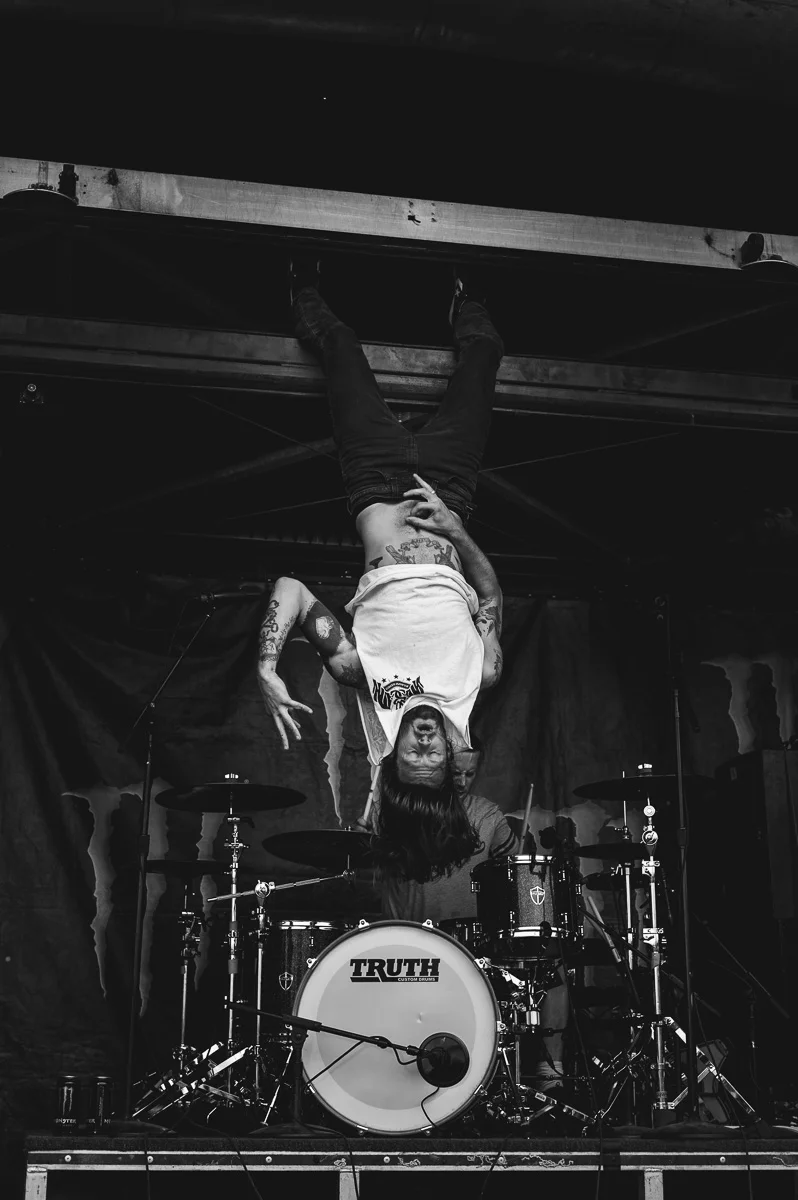 Lawrence Taylor // While She Sleeps