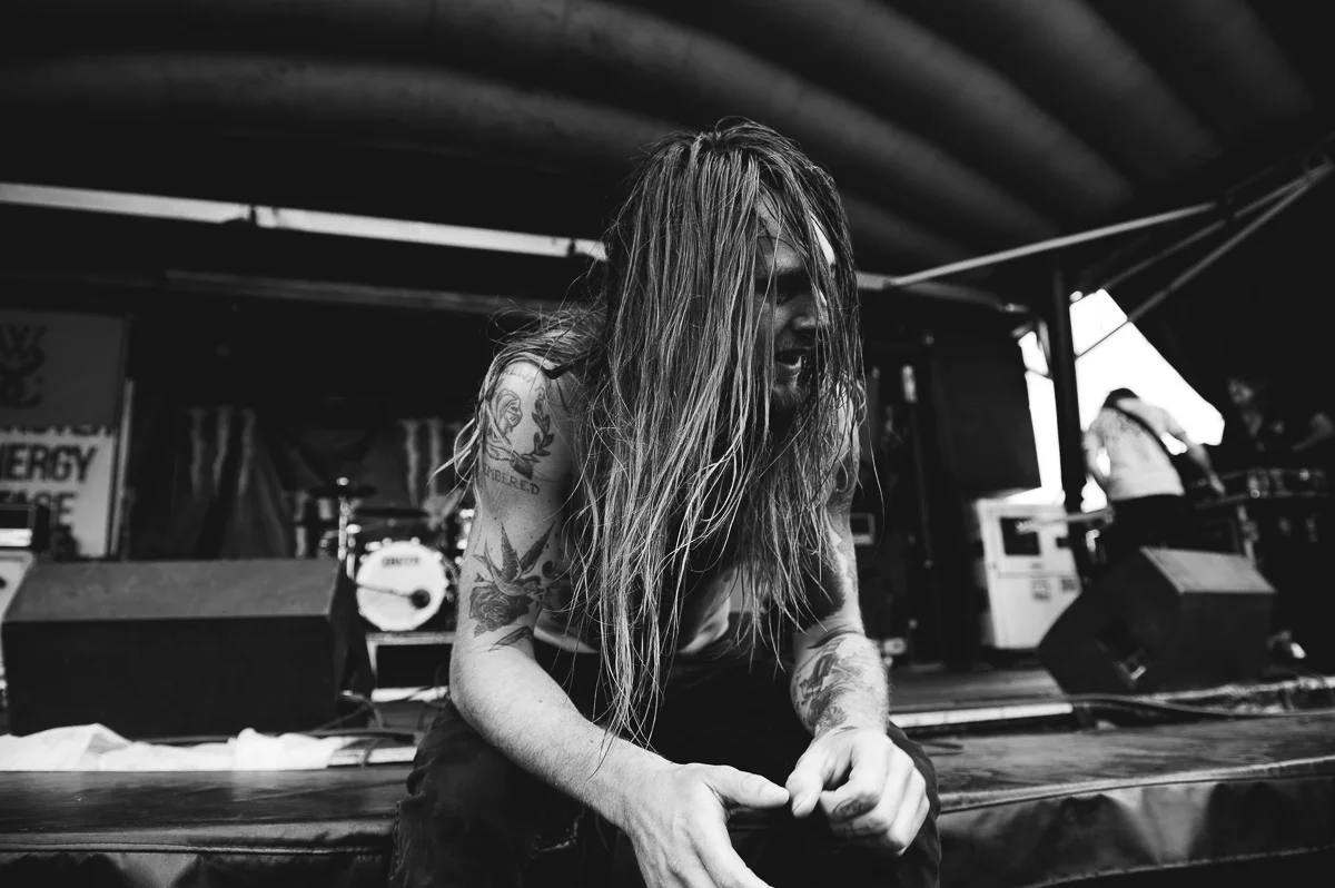 Lawrence Taylor // While She Sleeps
