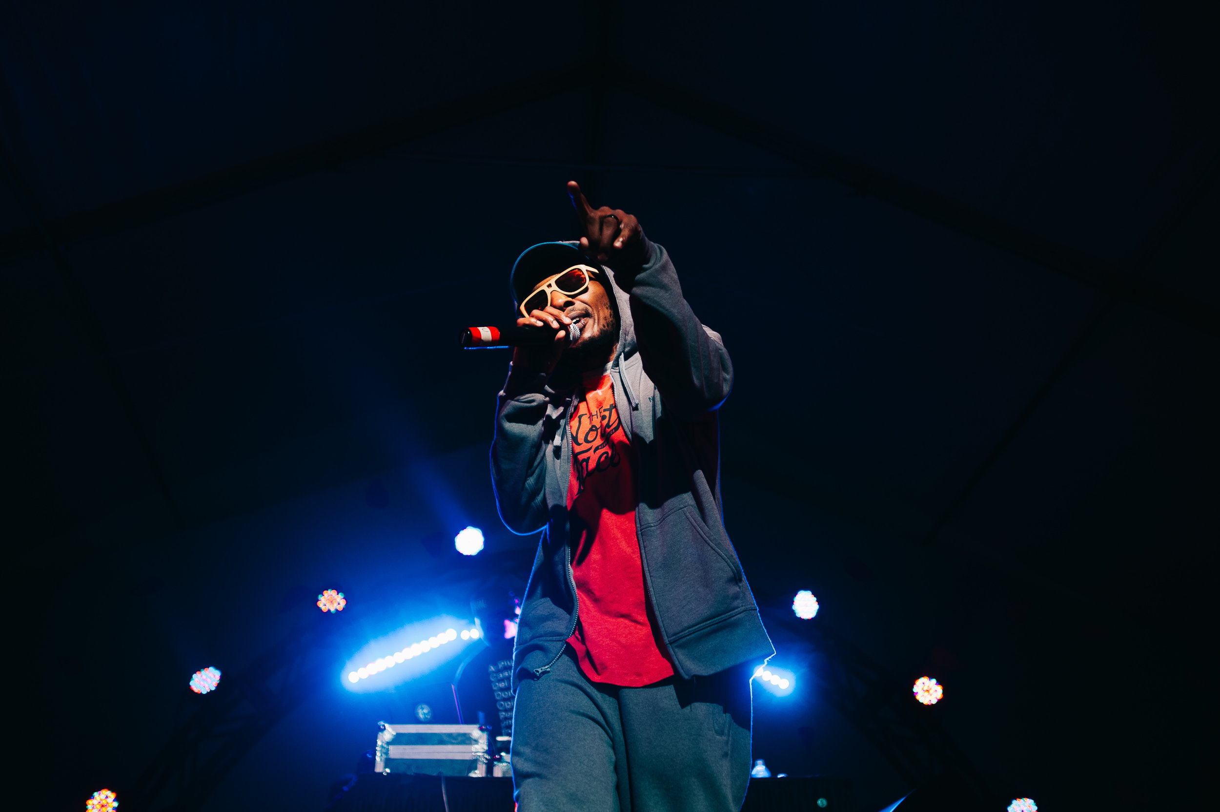 2_Del_the_Funky_Homosapien_Rifflandia-Timothy_Nguyen-20160917 (10 of 16).jpg