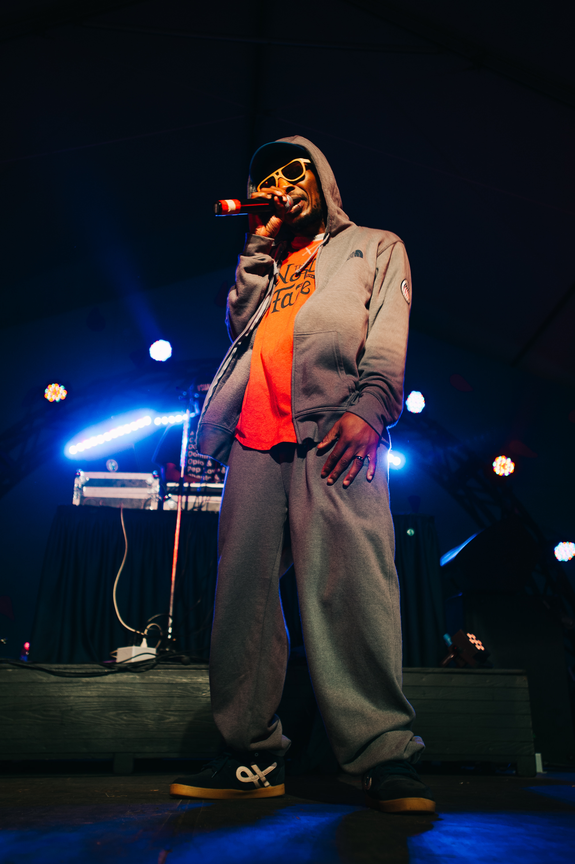 2_Del_the_Funky_Homosapien_Rifflandia-Timothy_Nguyen-20160917 (11 of 16).jpg