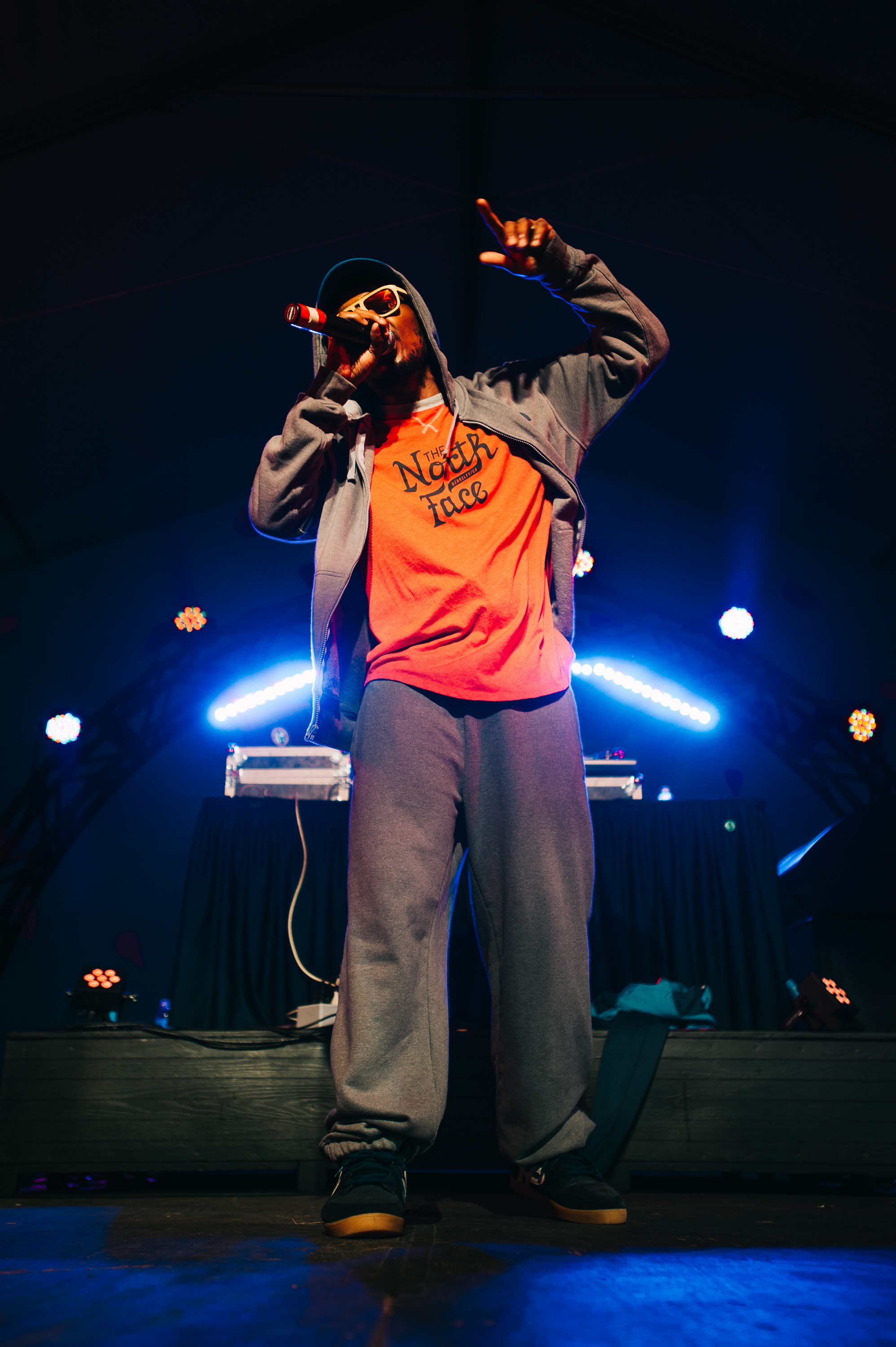 2_Del_the_Funky_Homosapien_Rifflandia-Timothy_Nguyen-20160917 (13 of 16).jpg