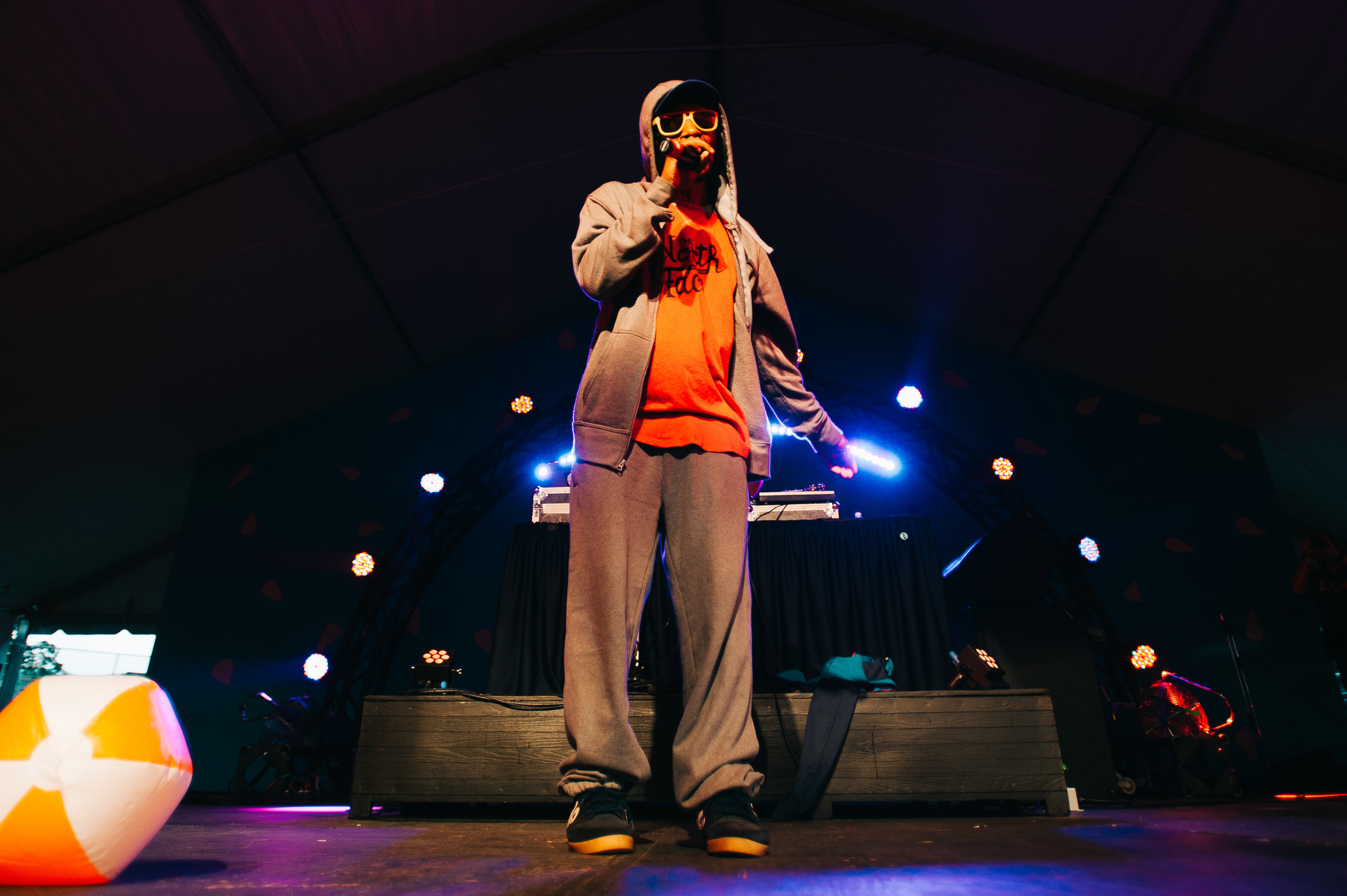 2_Del_the_Funky_Homosapien_Rifflandia-Timothy_Nguyen-20160917 (14 of 16).jpg