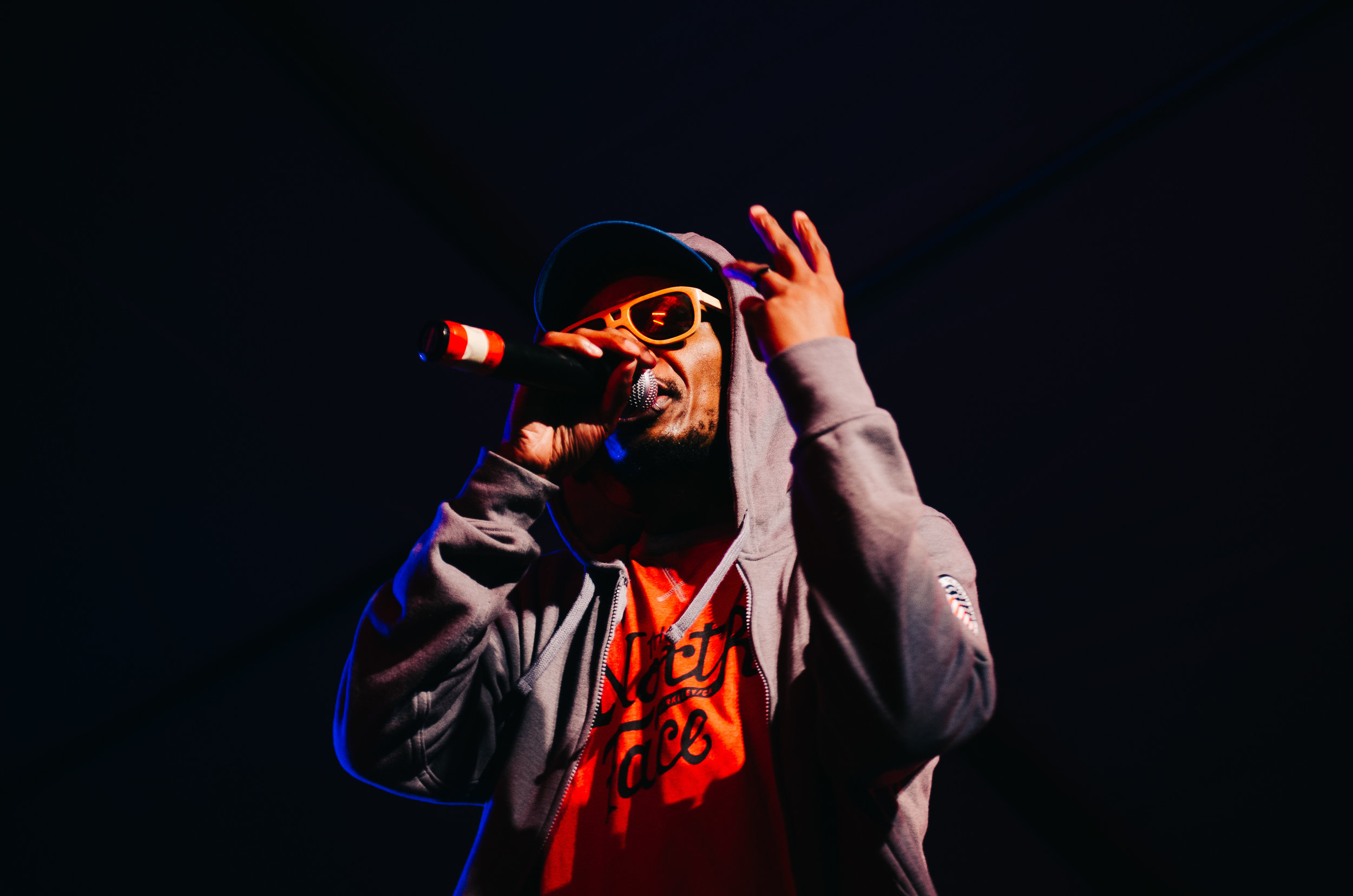 2_Del_the_Funky_Homosapien_Rifflandia-Timothy_Nguyen-20160917 (15 of 16).jpg