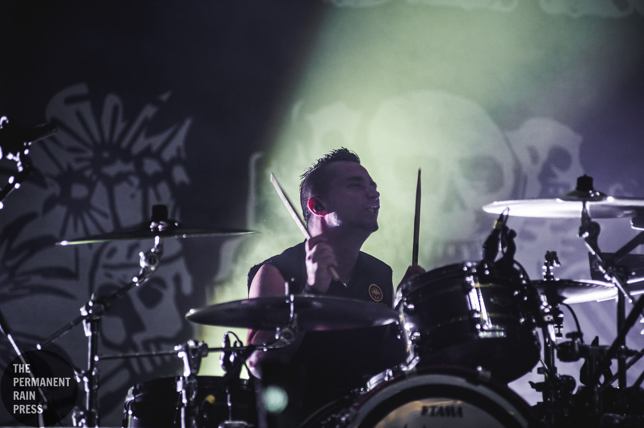 1_The_Offspring-Abbotsford-20170707-Timothy_Nguyen (13 of 15).jpg