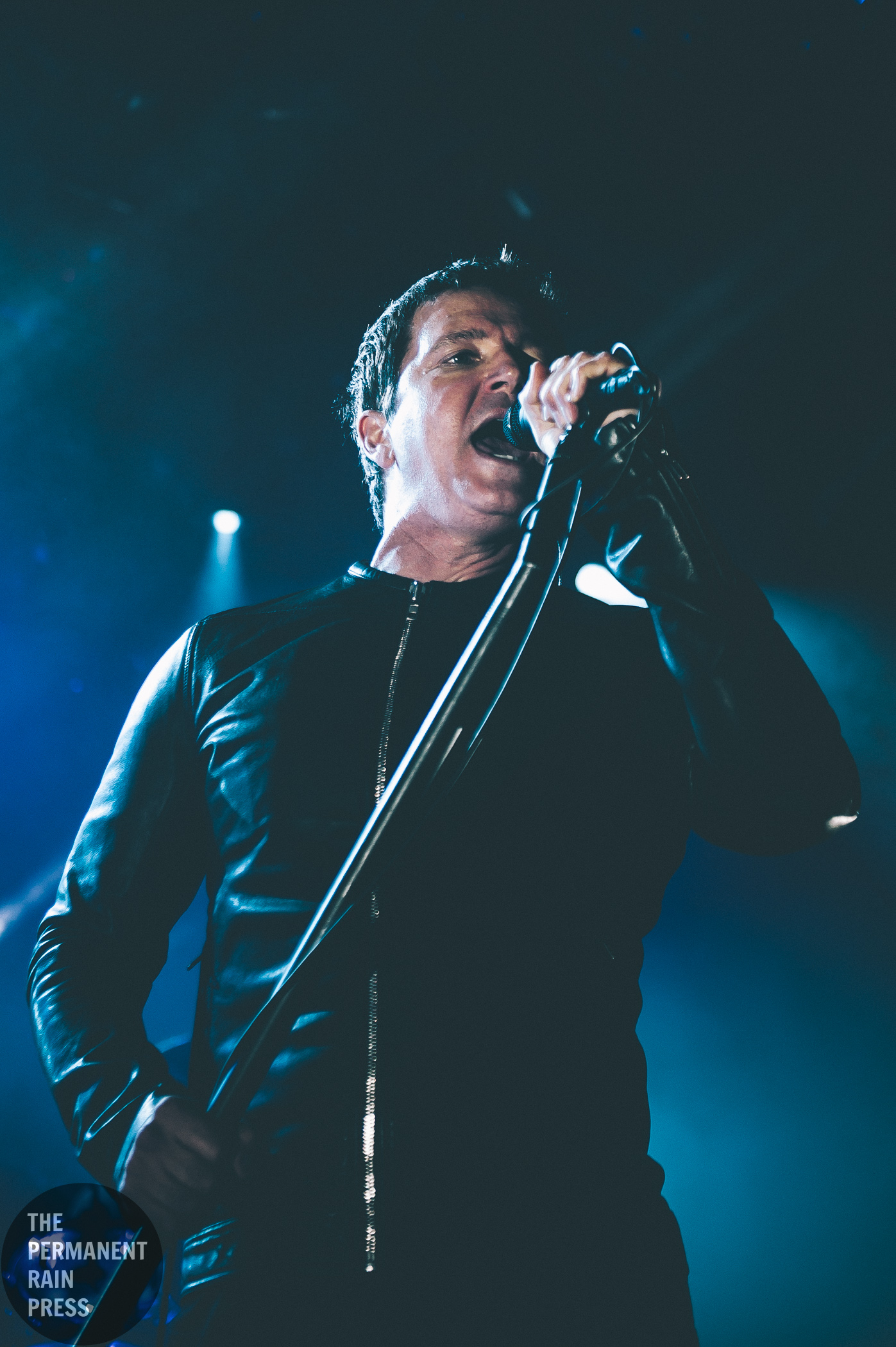 1_Third_Eye_Blind-Commodore_Ballroom-Timothy_Nguyen-20171109 (13 of 15).jpg