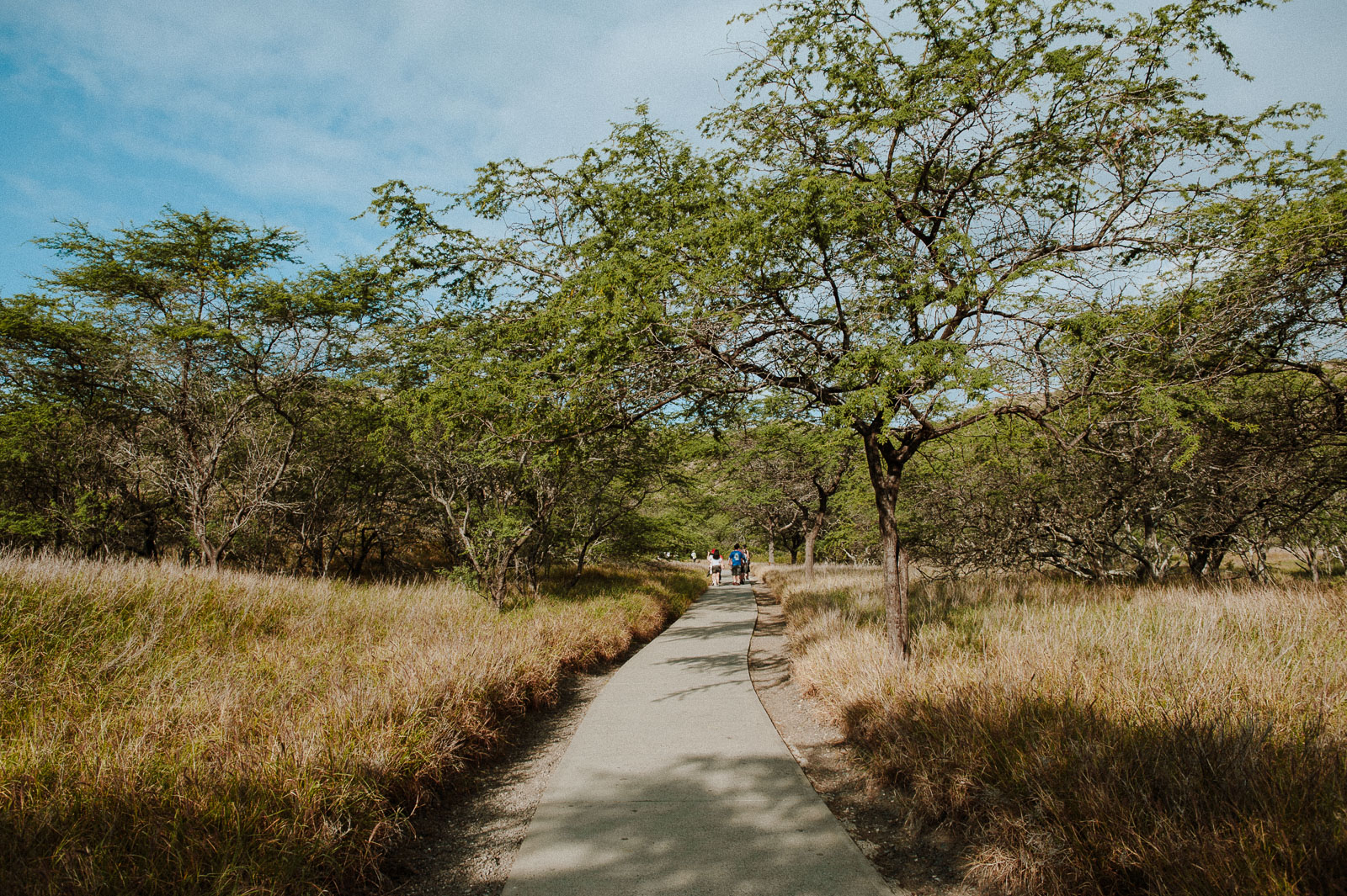 Hawaii-Web (1 of 100).jpg