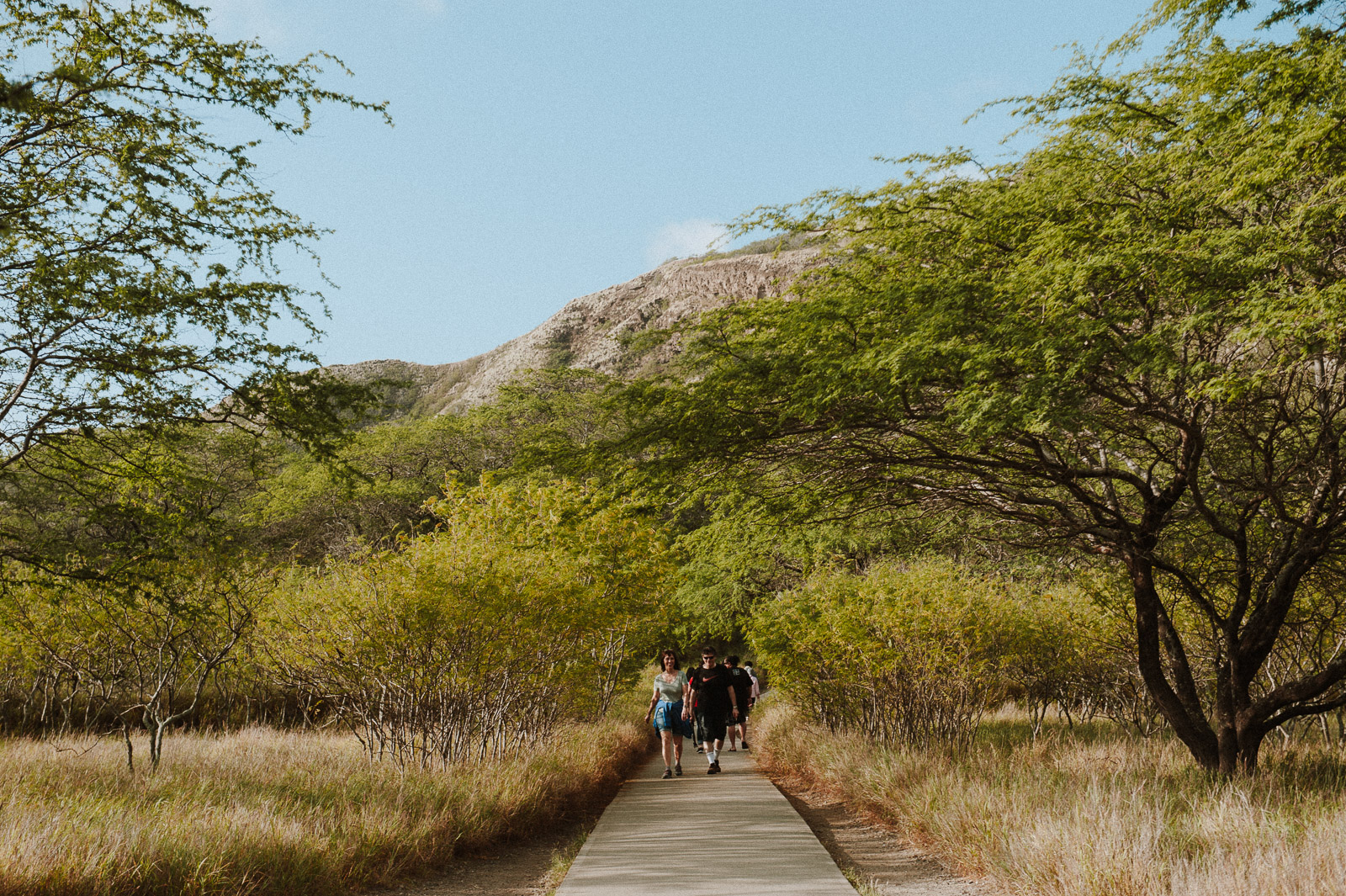 Hawaii-Web (4 of 100).jpg