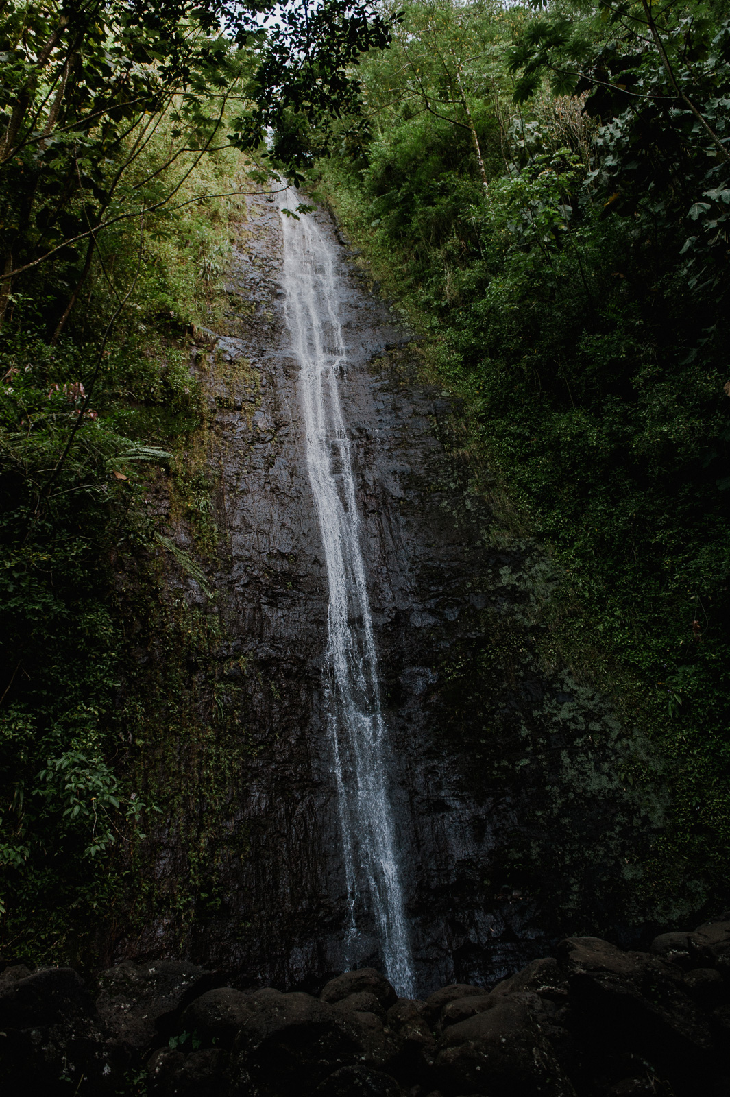 Hawaii-Web (20 of 100).jpg