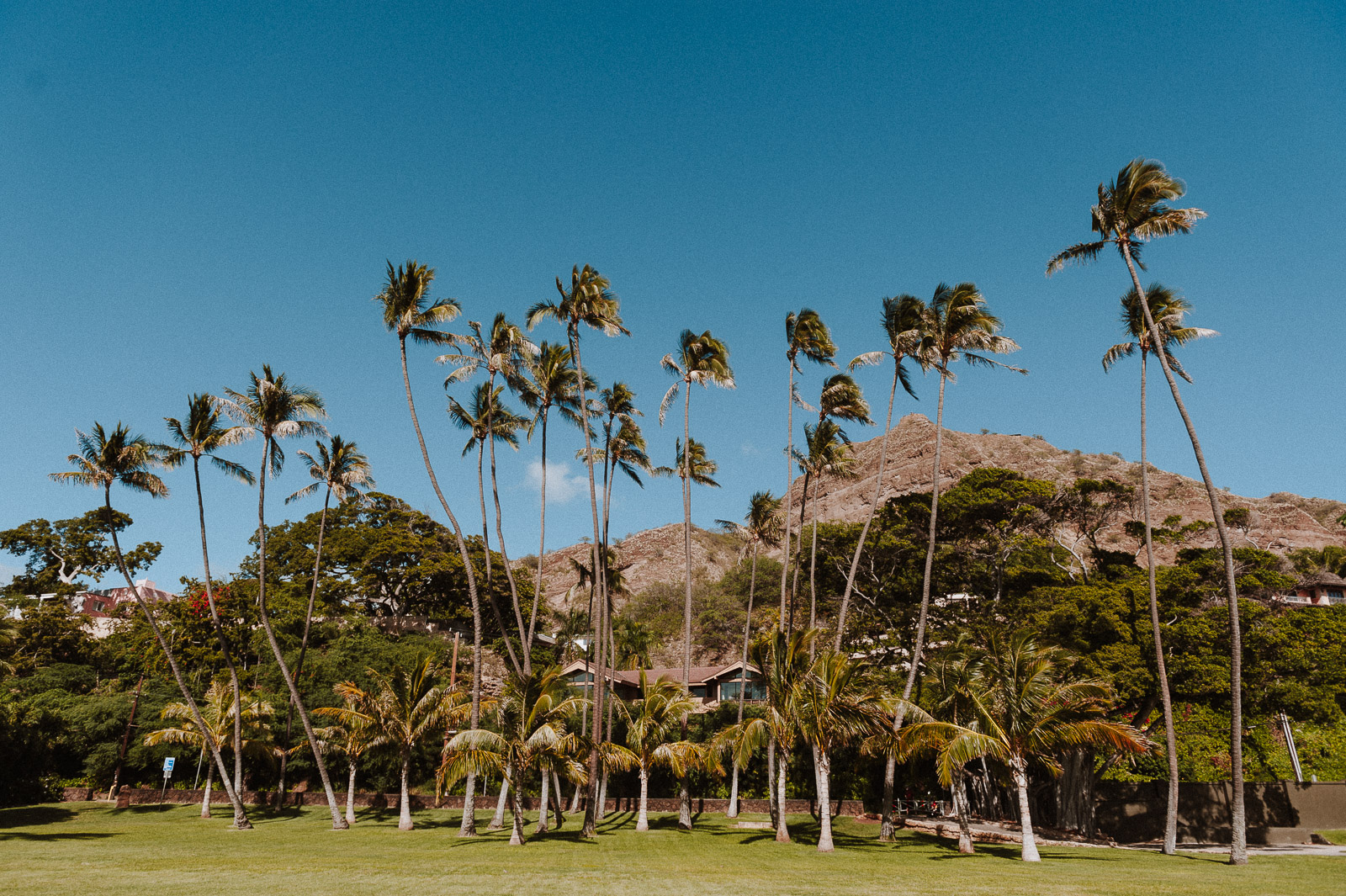 Hawaii-Web (22 of 100).jpg