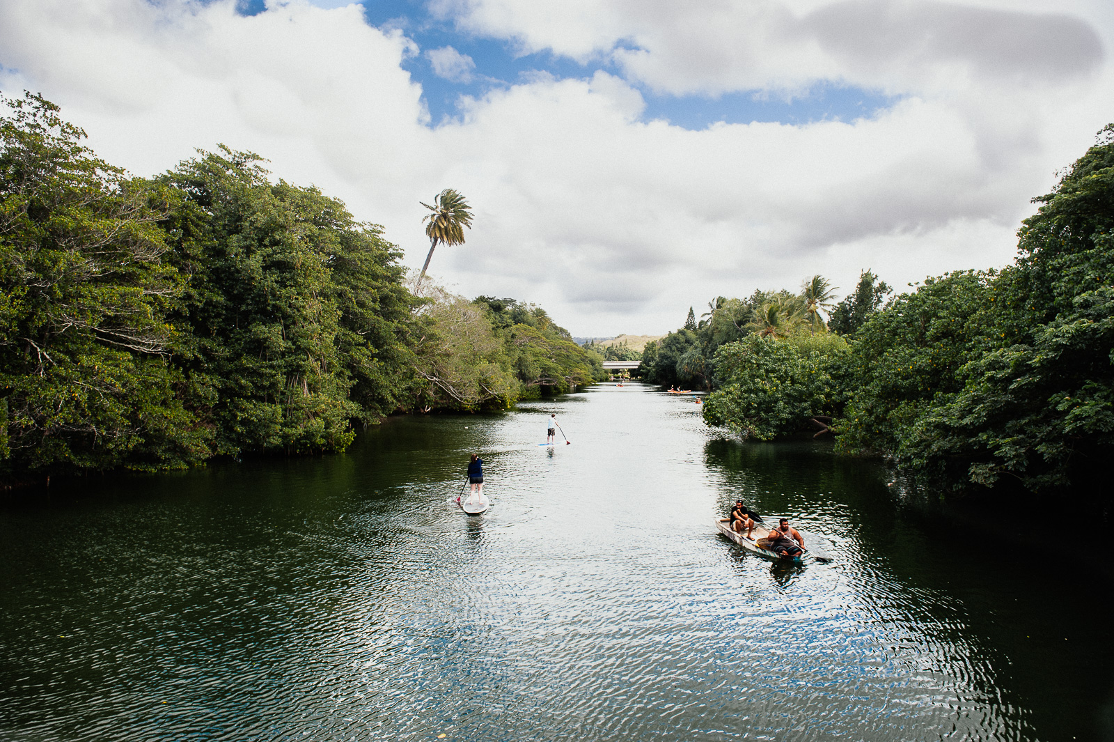 Hawaii-Web (50 of 100).jpg