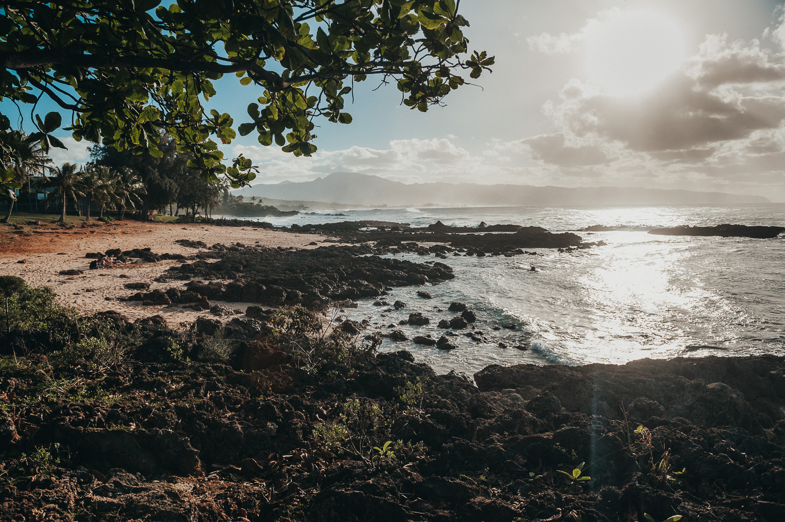 Hawaii-Web (61 of 100).jpg