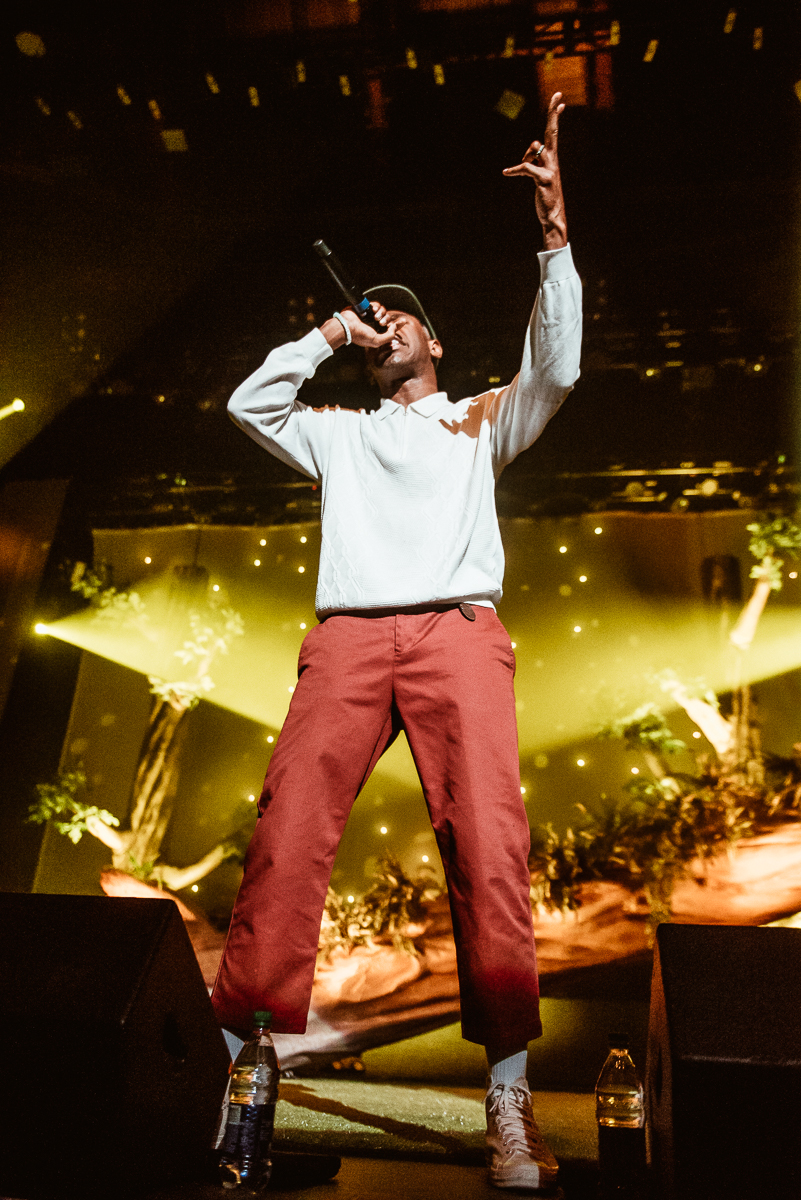 1_Tyler_The_Creator-Pacific_Coliseum-Timothy_Nguyen-20180126 (17 of 29).jpg