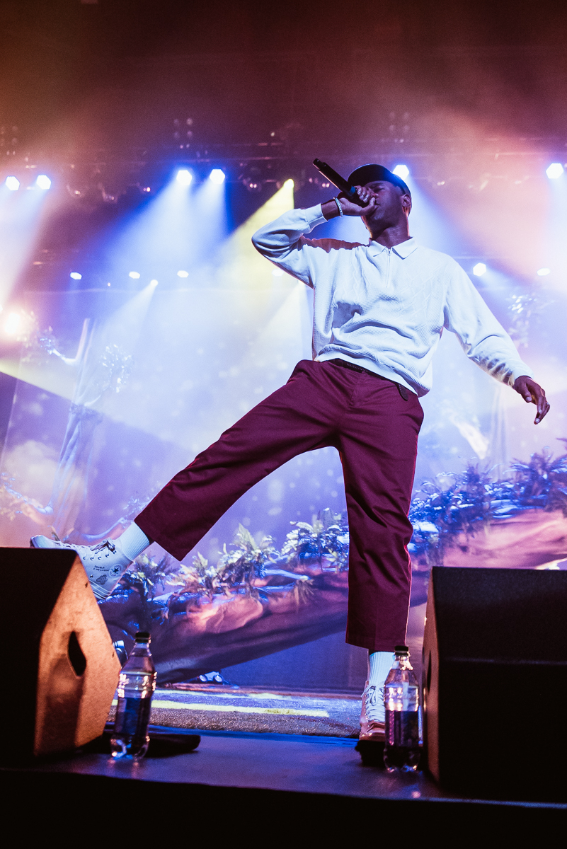 1_Tyler_The_Creator-Pacific_Coliseum-Timothy_Nguyen-20180126 (18 of 29).jpg