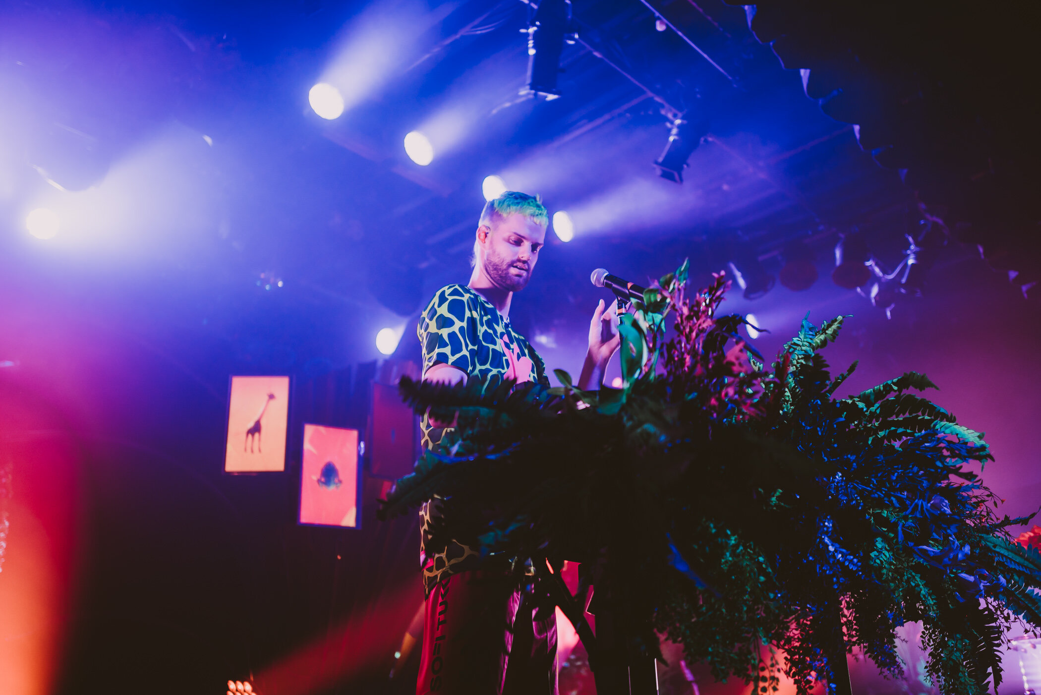 Sofi_Tukker-BPE-Commodore_Ballroom-Timothy_Nguyen-20191004 (50 of 65).JPG