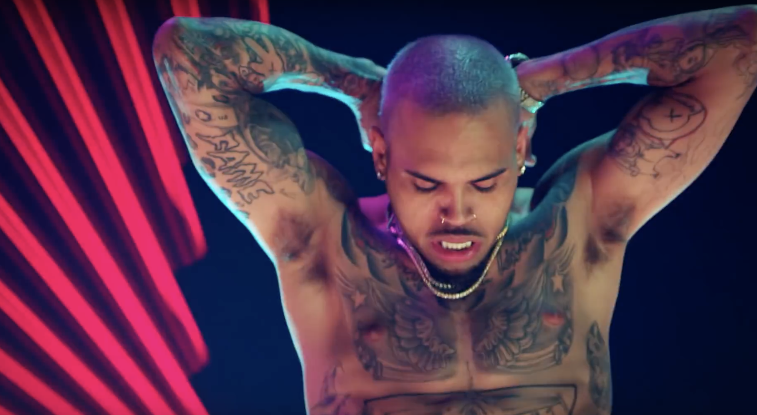 CHRIS BROWN "PRIVACY"