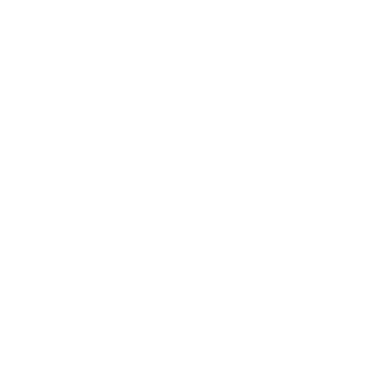 CFMOTO_logo_white_symbol_sRGB.png