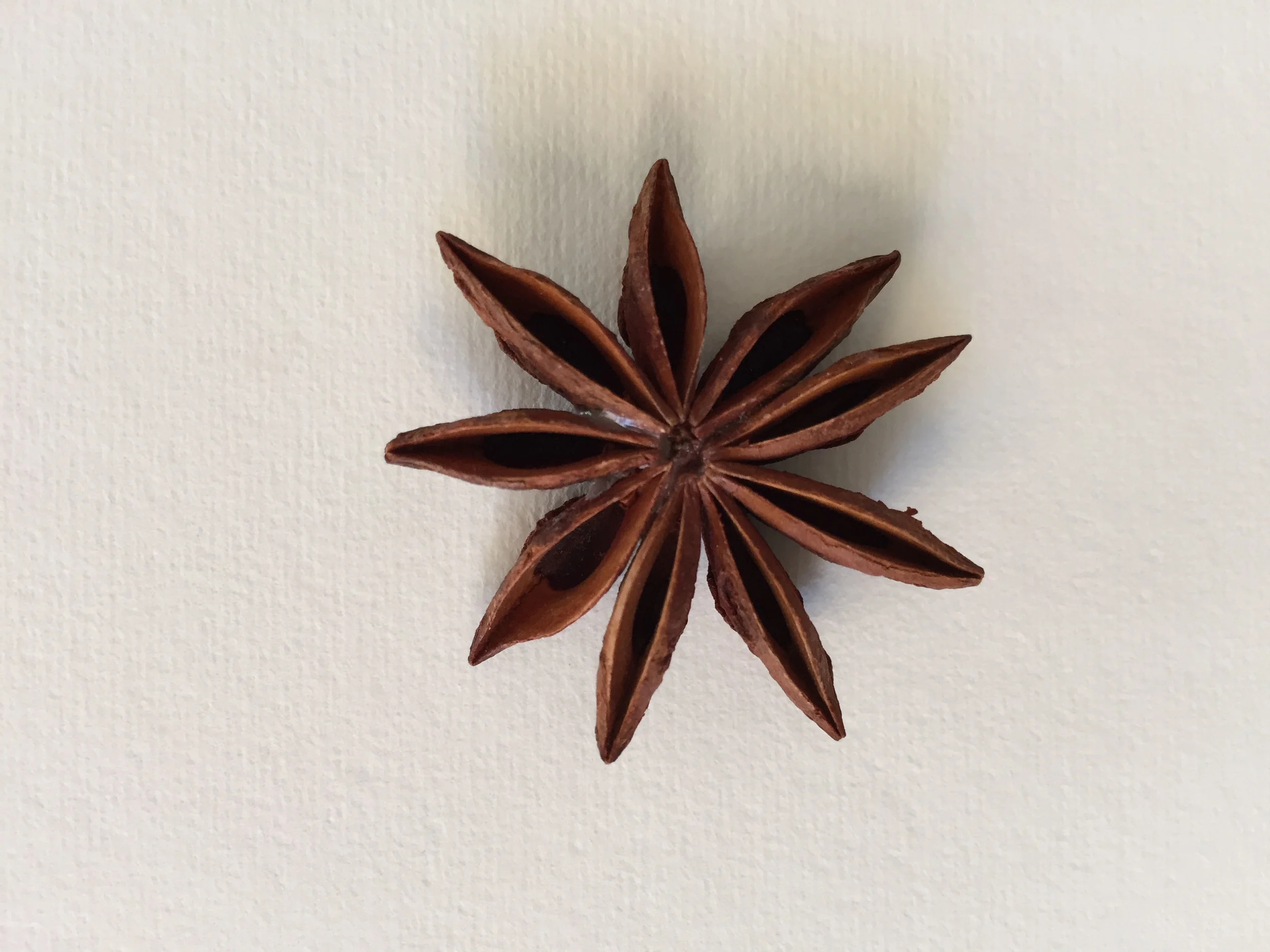 FRAGRANT STAR ANISE