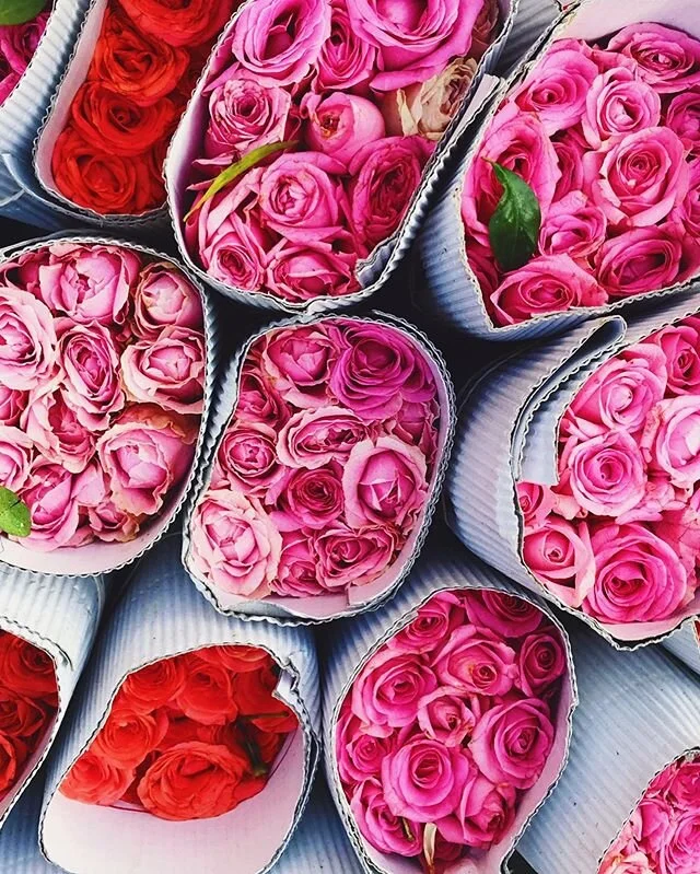 Finding beauty and solace in my camera roll. Happy Friday 💕

#spicemama #bombaydreaming #bombay #flowers #dadarflowermarket  #pink #flowers #flowerofinstagram #beautywillsavetheworld